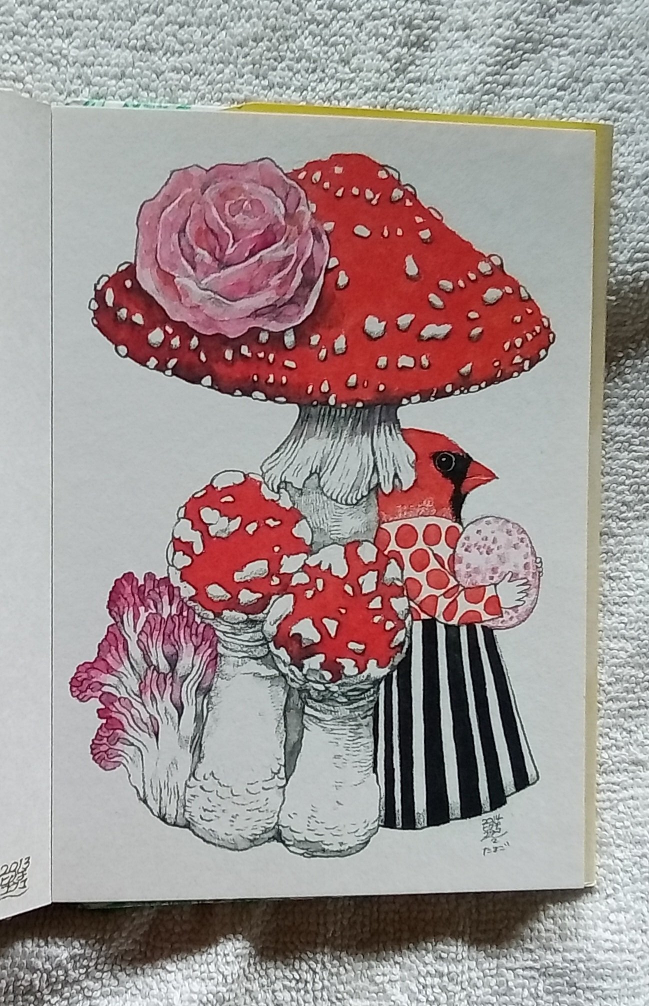 1000085455.jpg