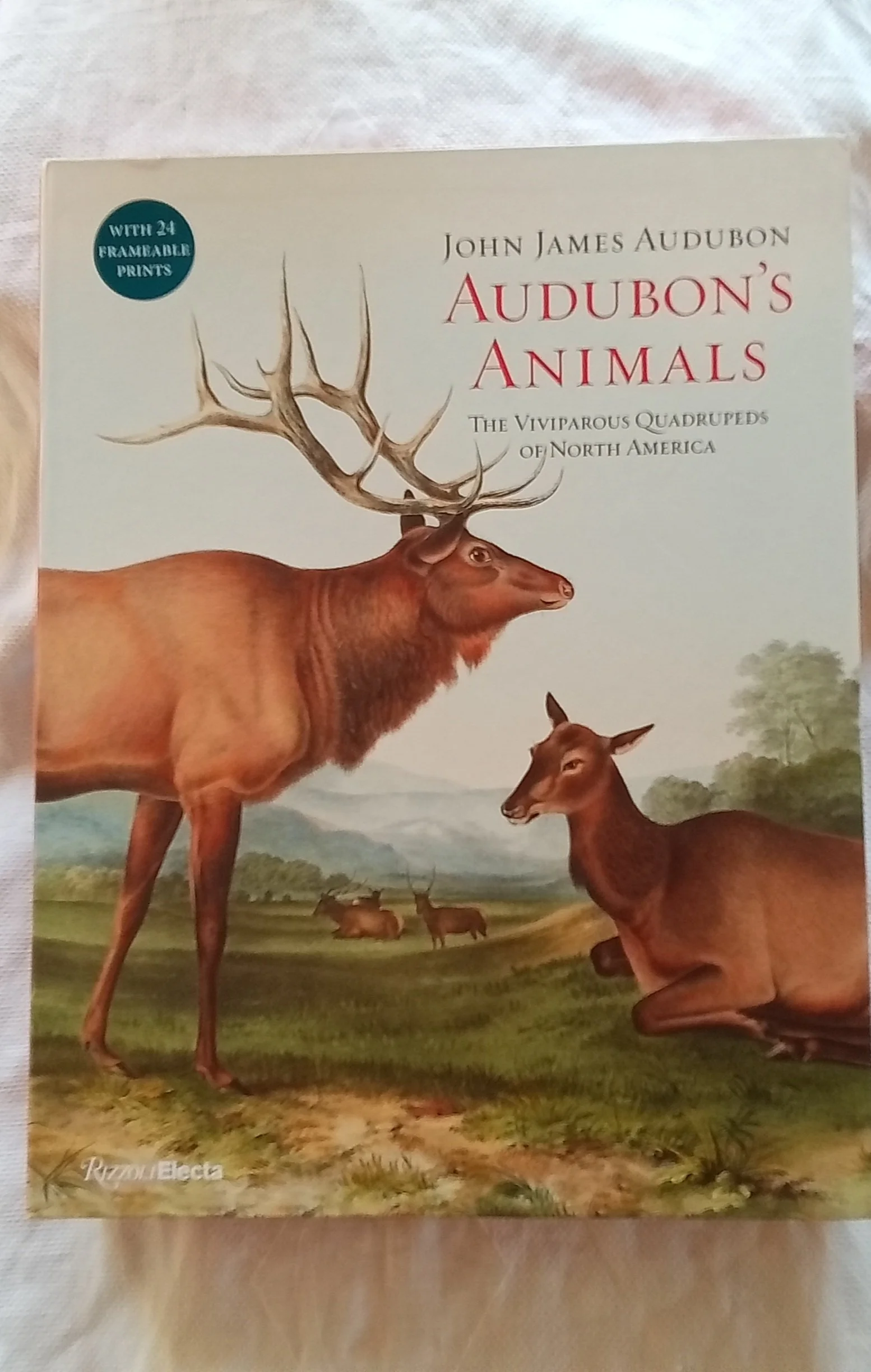 Audubon's Animals: The Viviparous Quadrupeds of North America