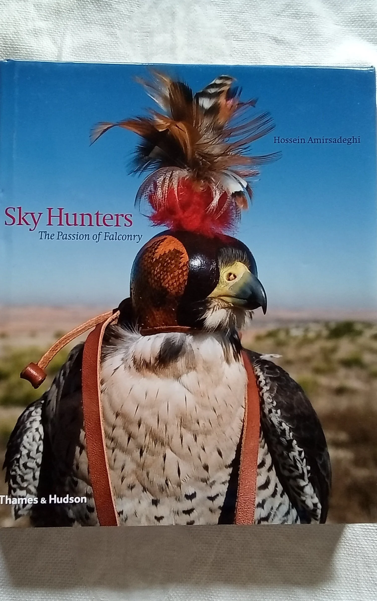 Sky Hunters The Passion of Falconry.