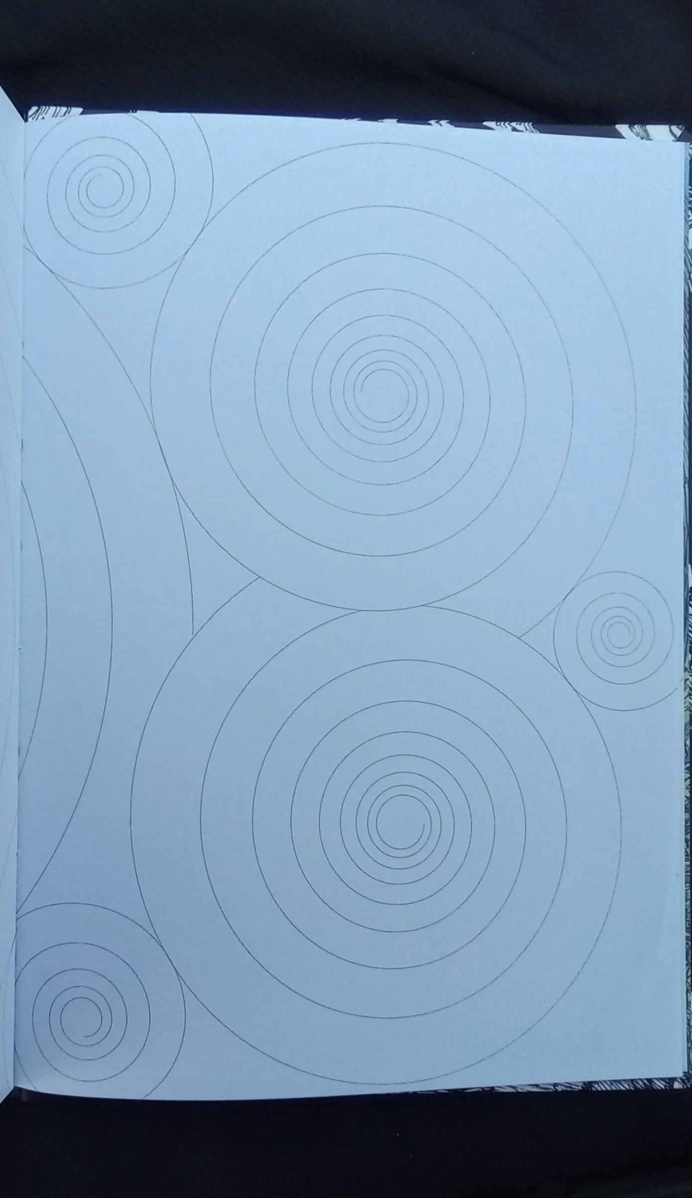1000126840.jpg