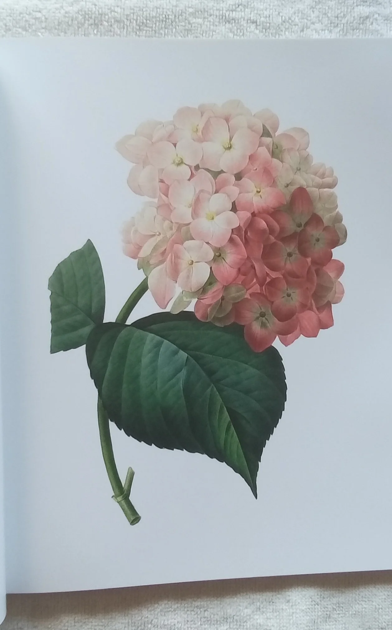 1000120627.jpg