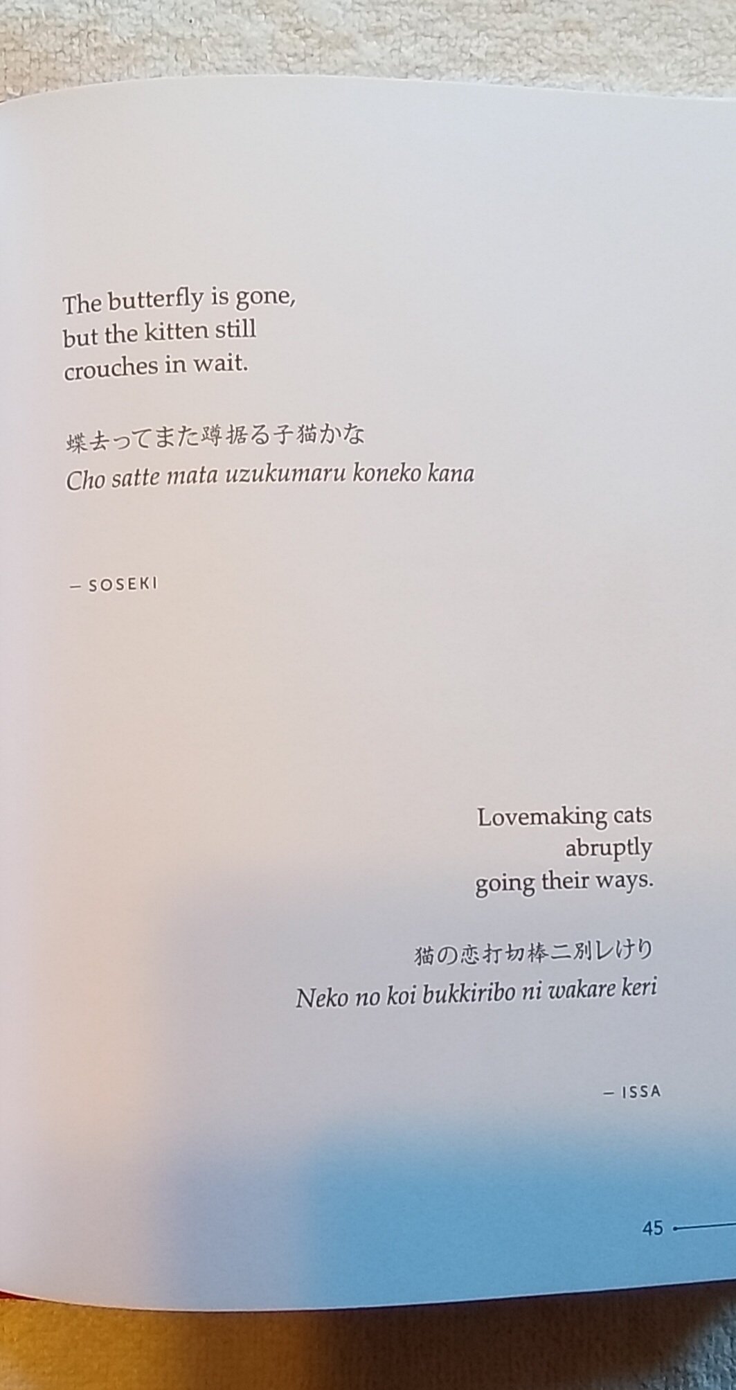 1000119600.jpg