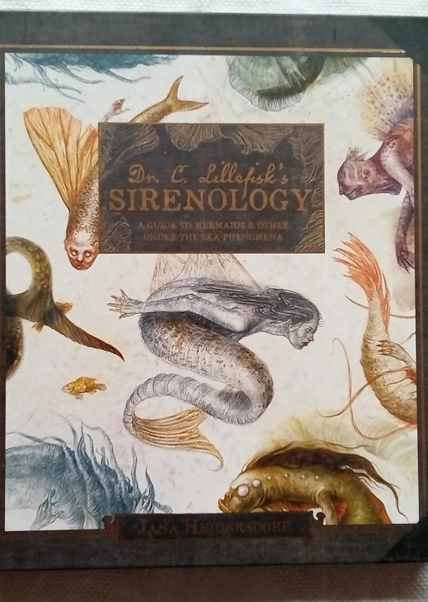 SIRENOLOGY, A GUIDE TO MERMAIDS