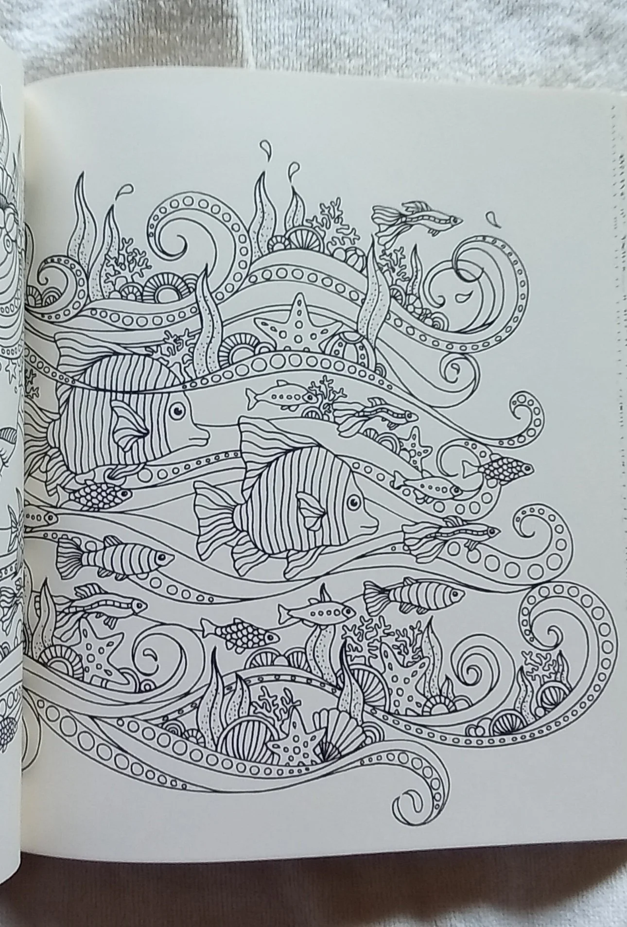 1000123081.jpg