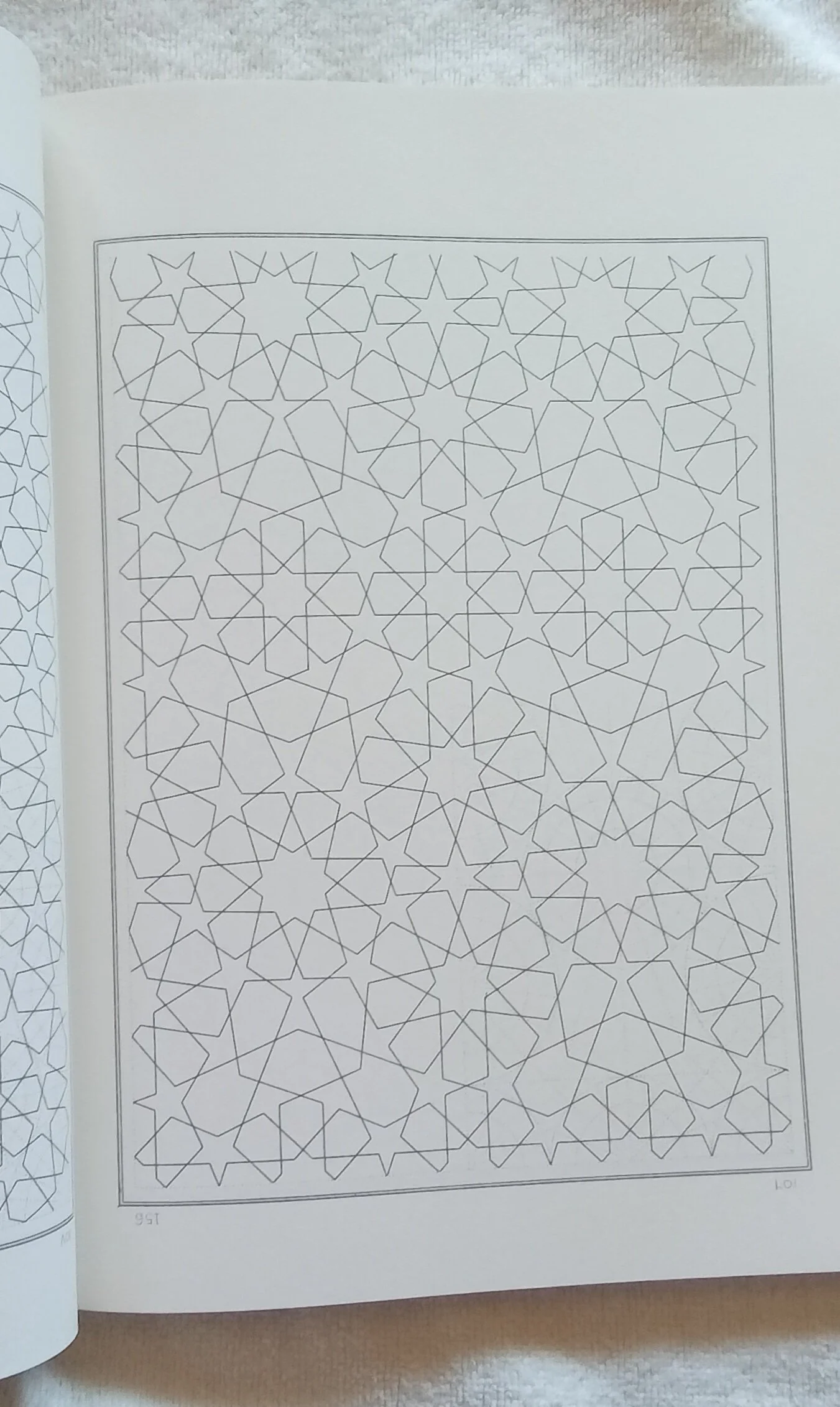 1000124709.jpg