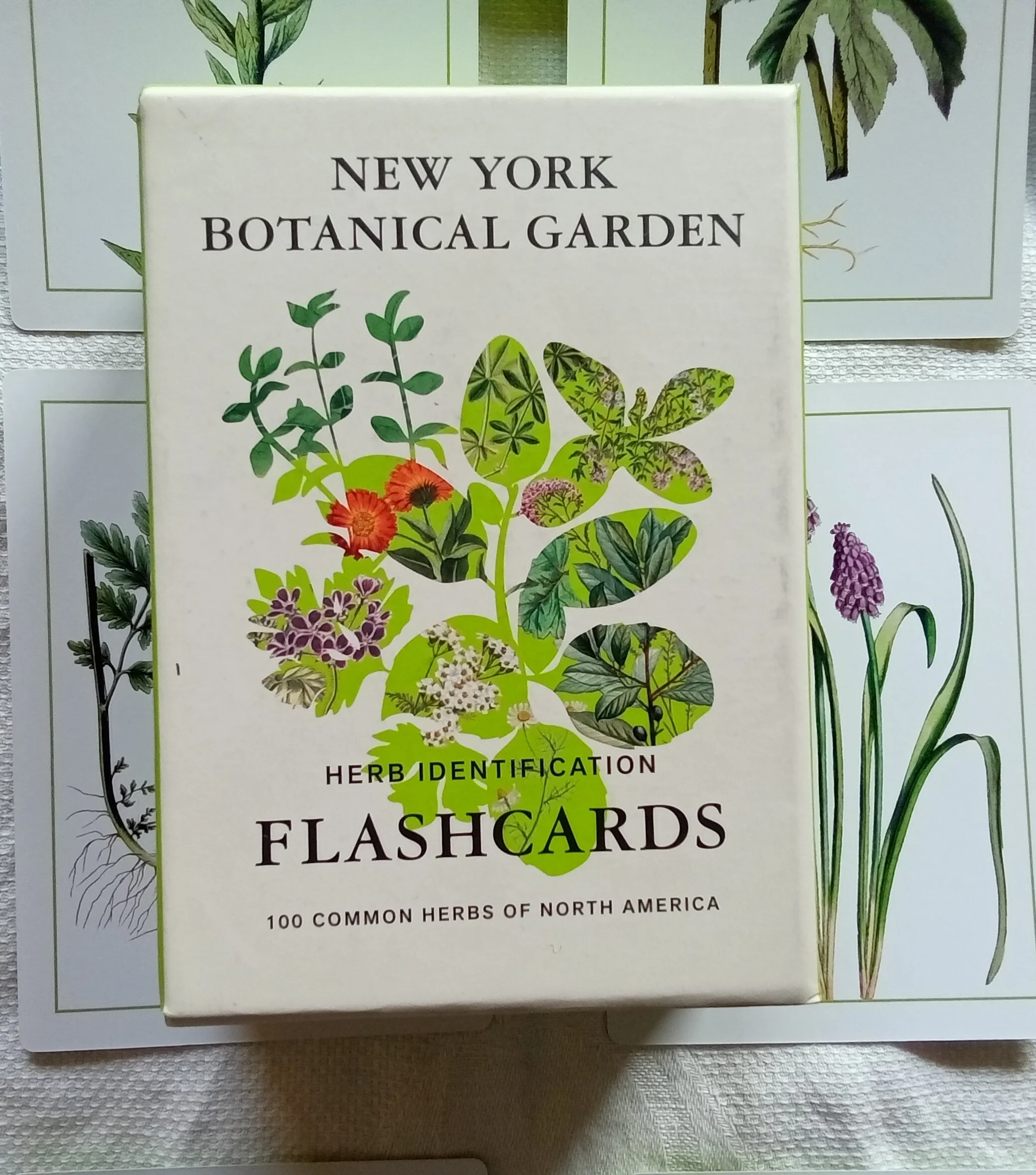 New York Botanical Garden Herb Identification Flashcards: 100 Common Herbs of North America