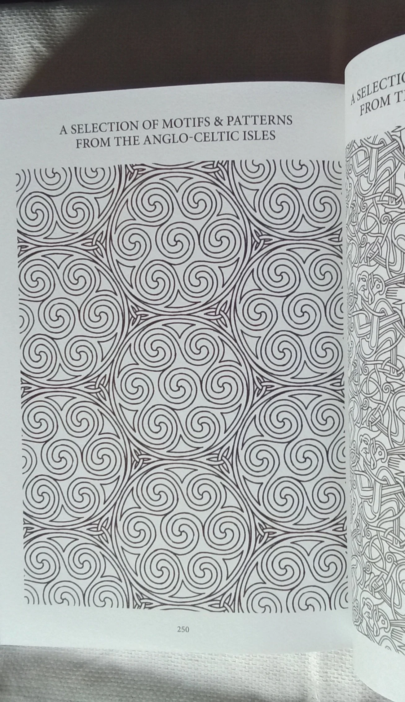 1000104577.jpg