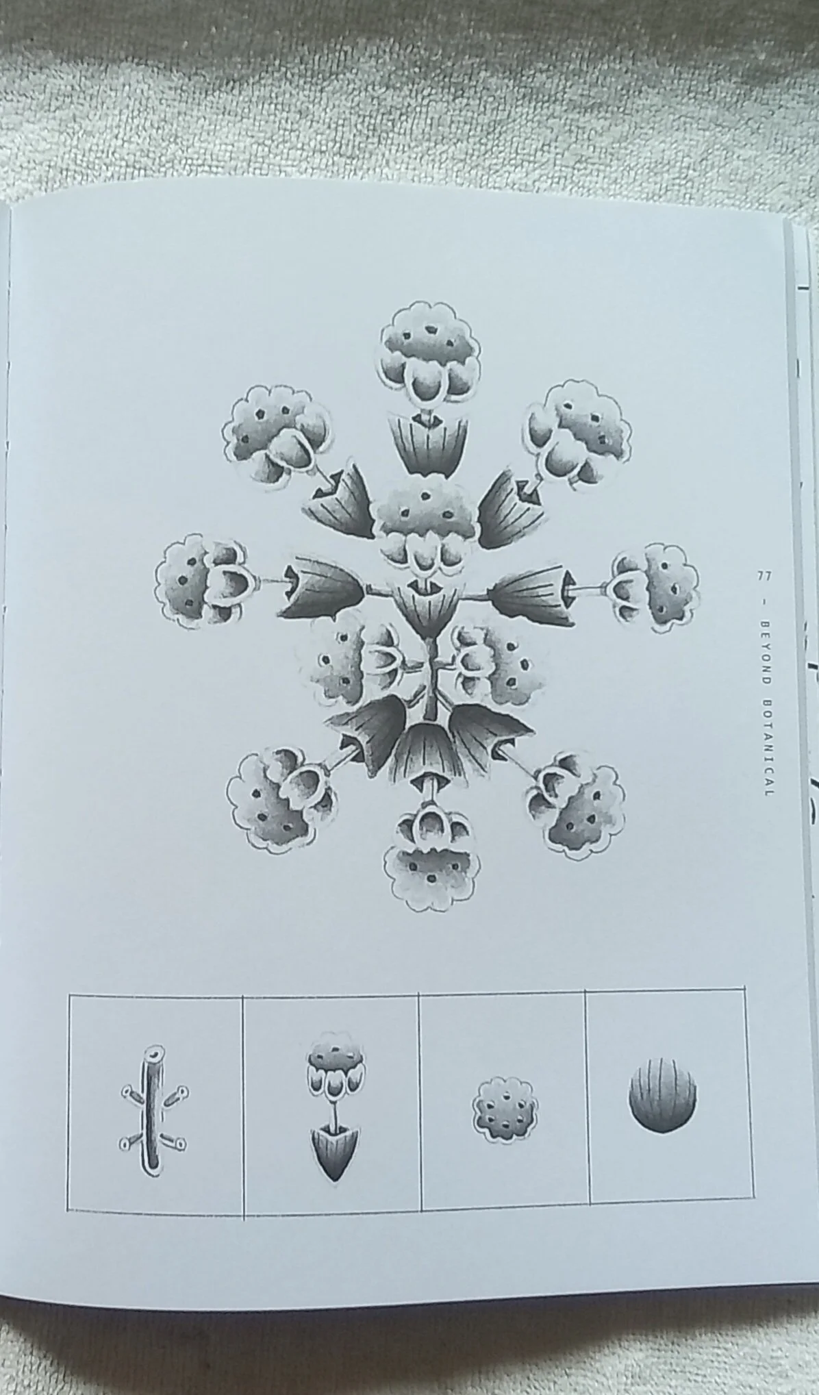 1000121419.jpg