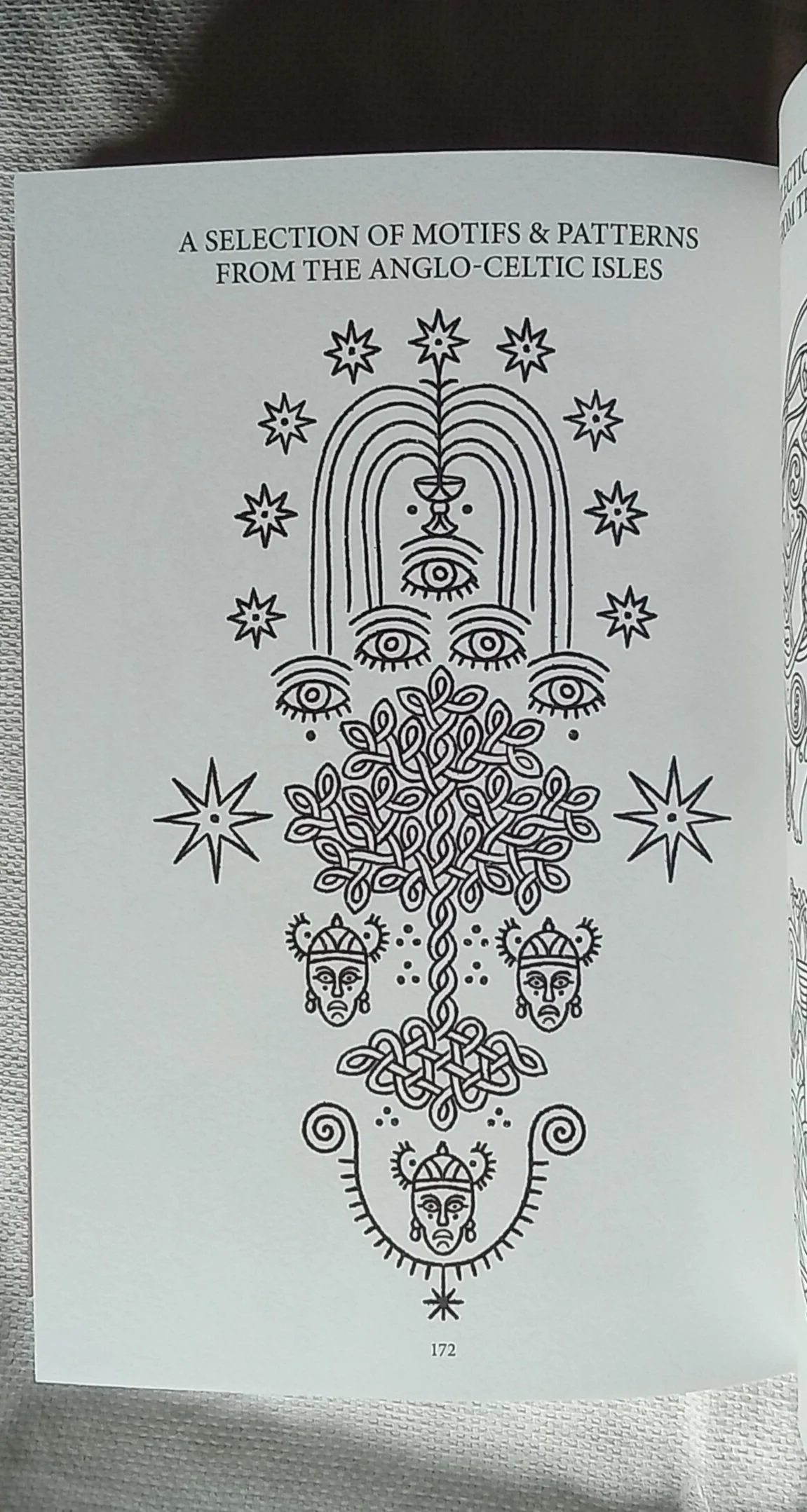 1000104573.jpg