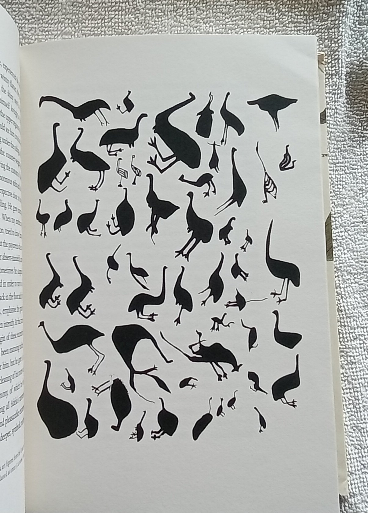 1000085132.jpg