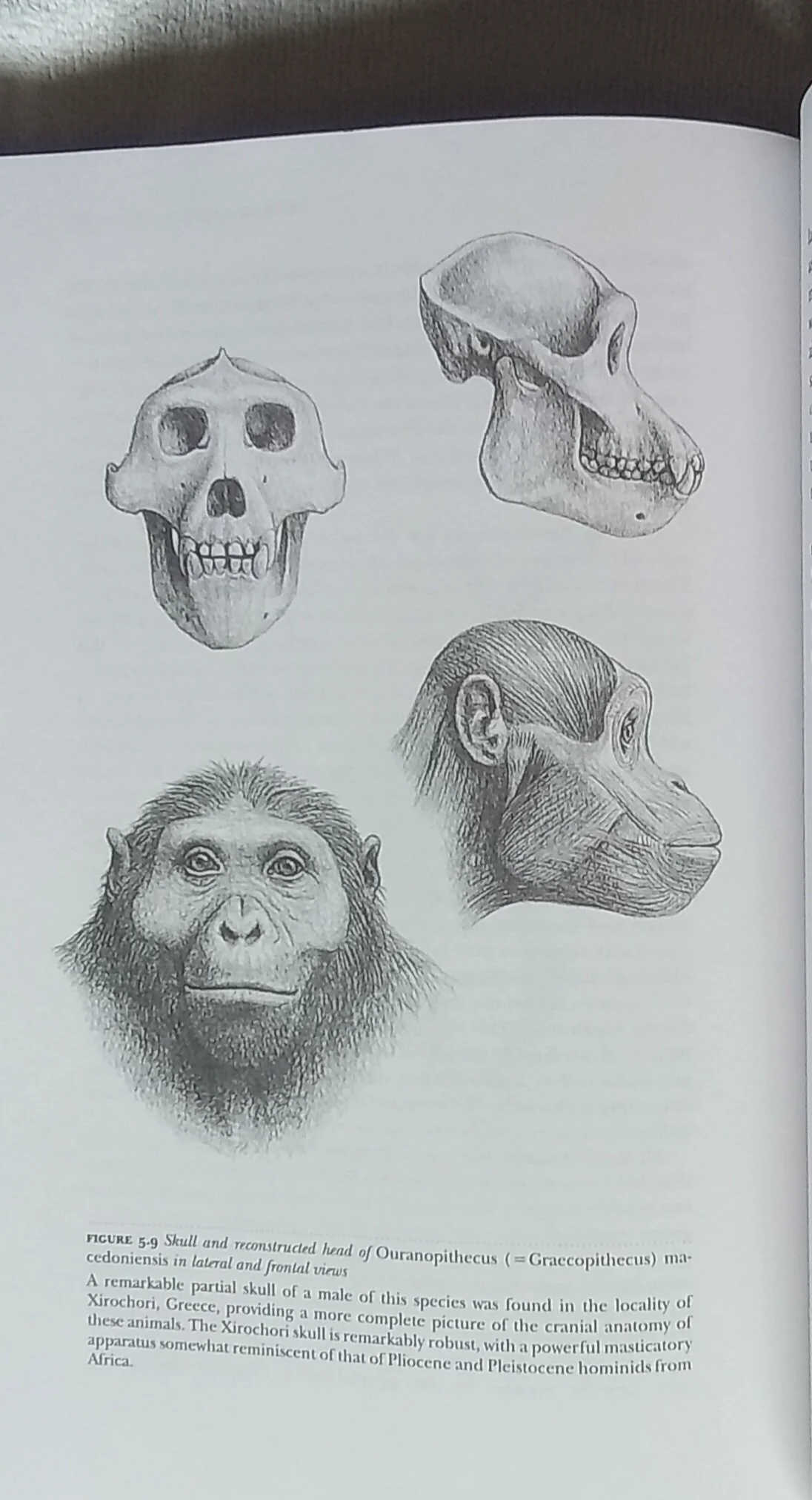 1000121402.jpg