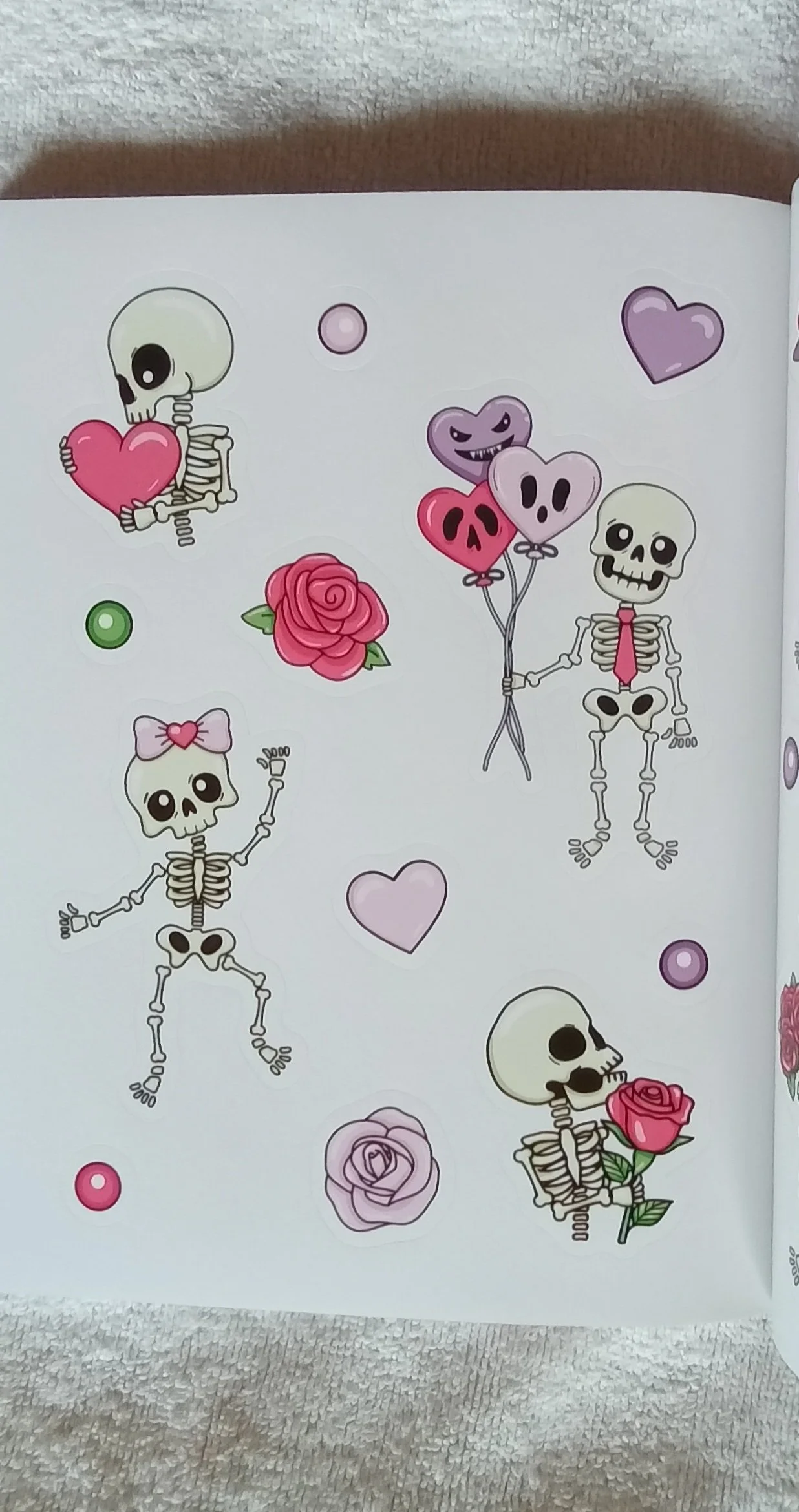 1000118400.jpg
