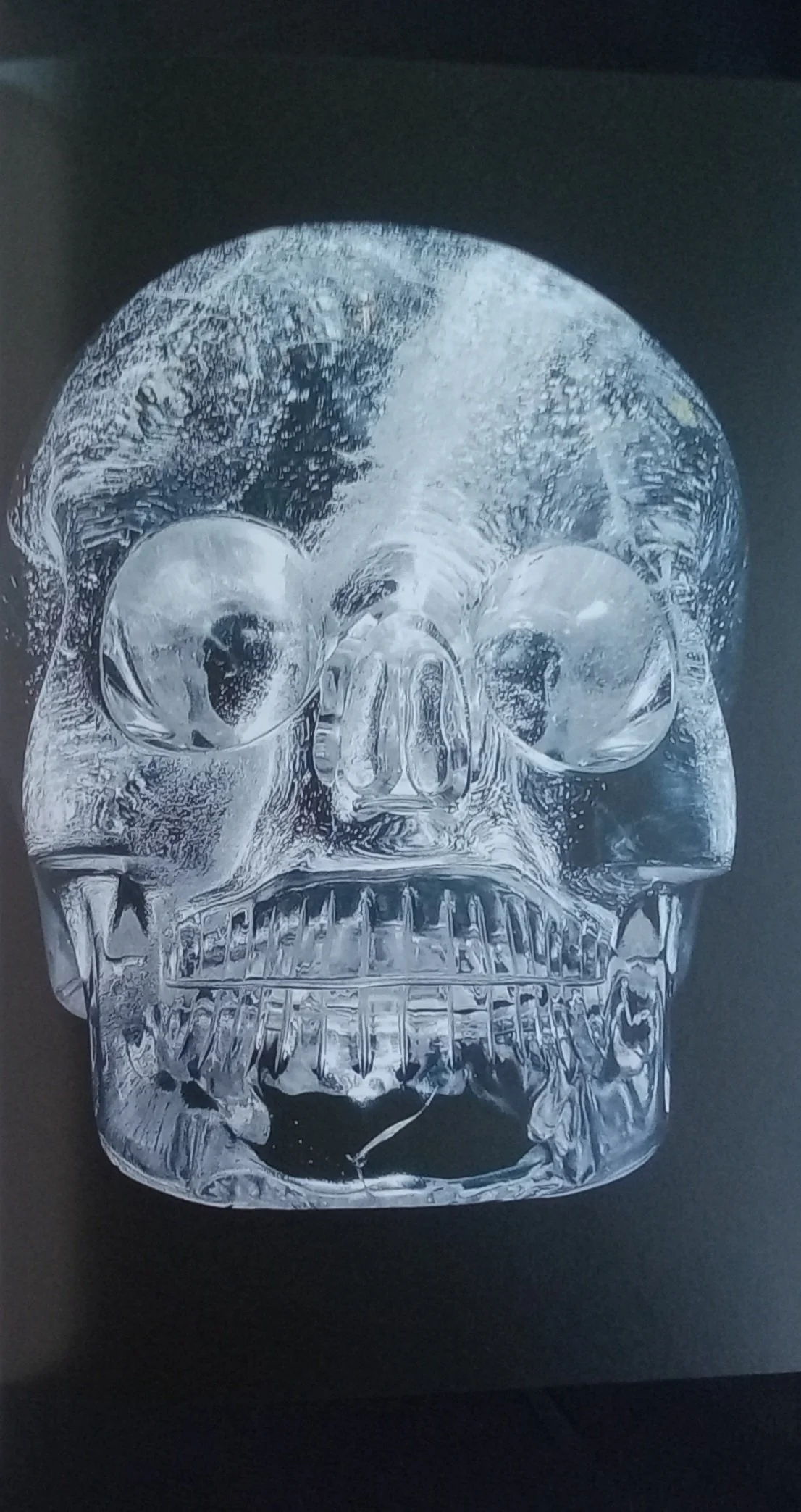 1000126103.jpg