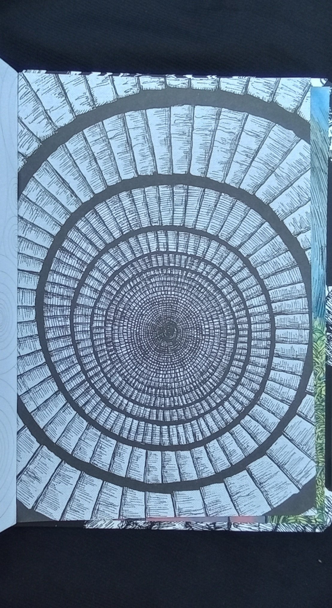 1000126838.jpg