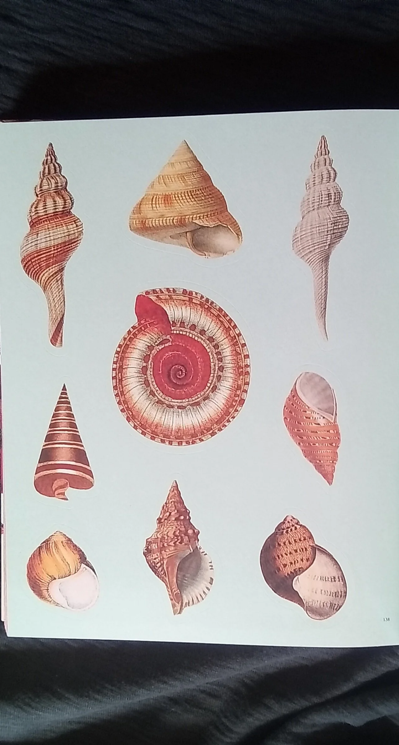 1000128060.jpg