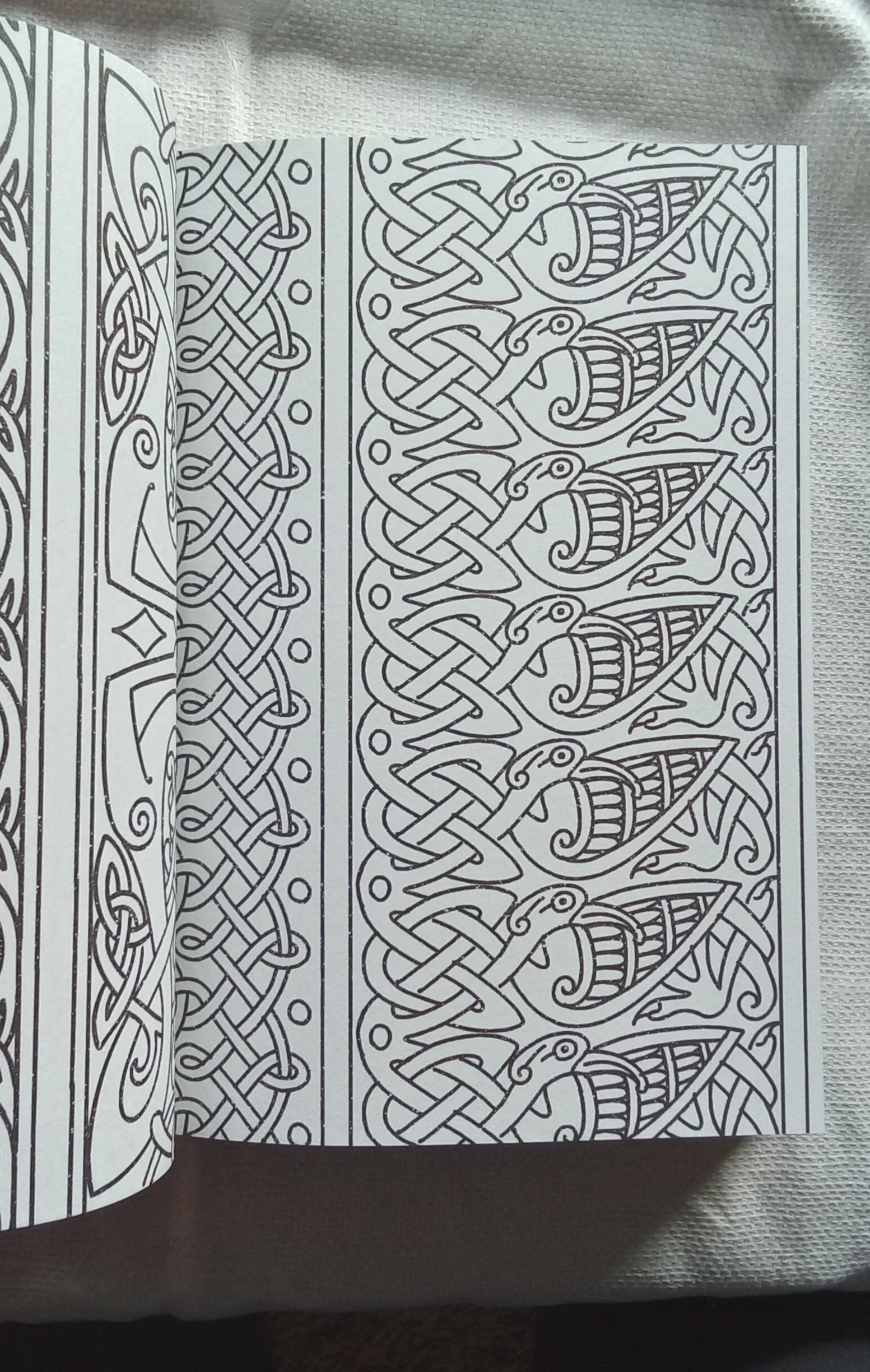 1000104576.jpg