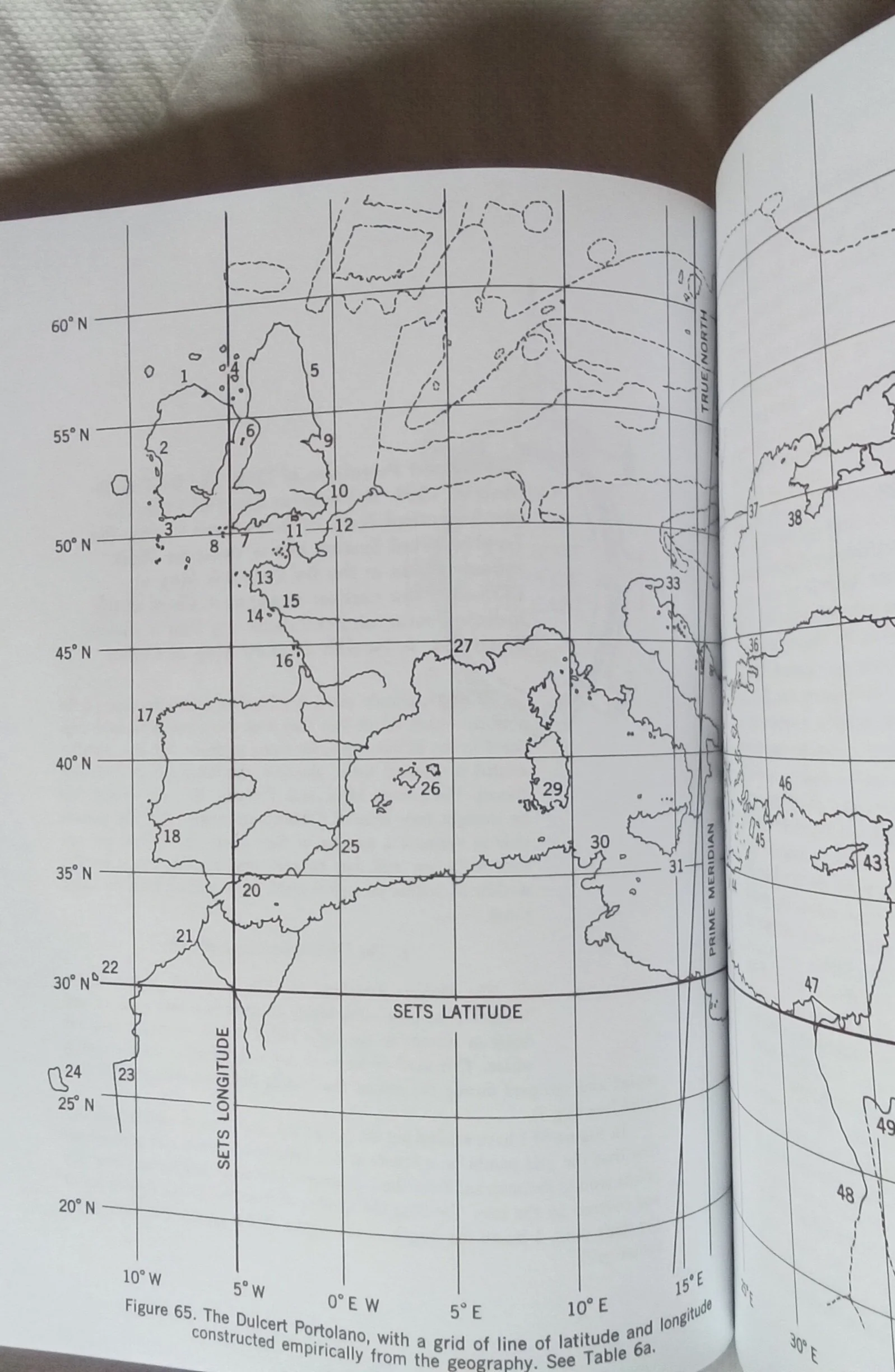 1000104936.jpg