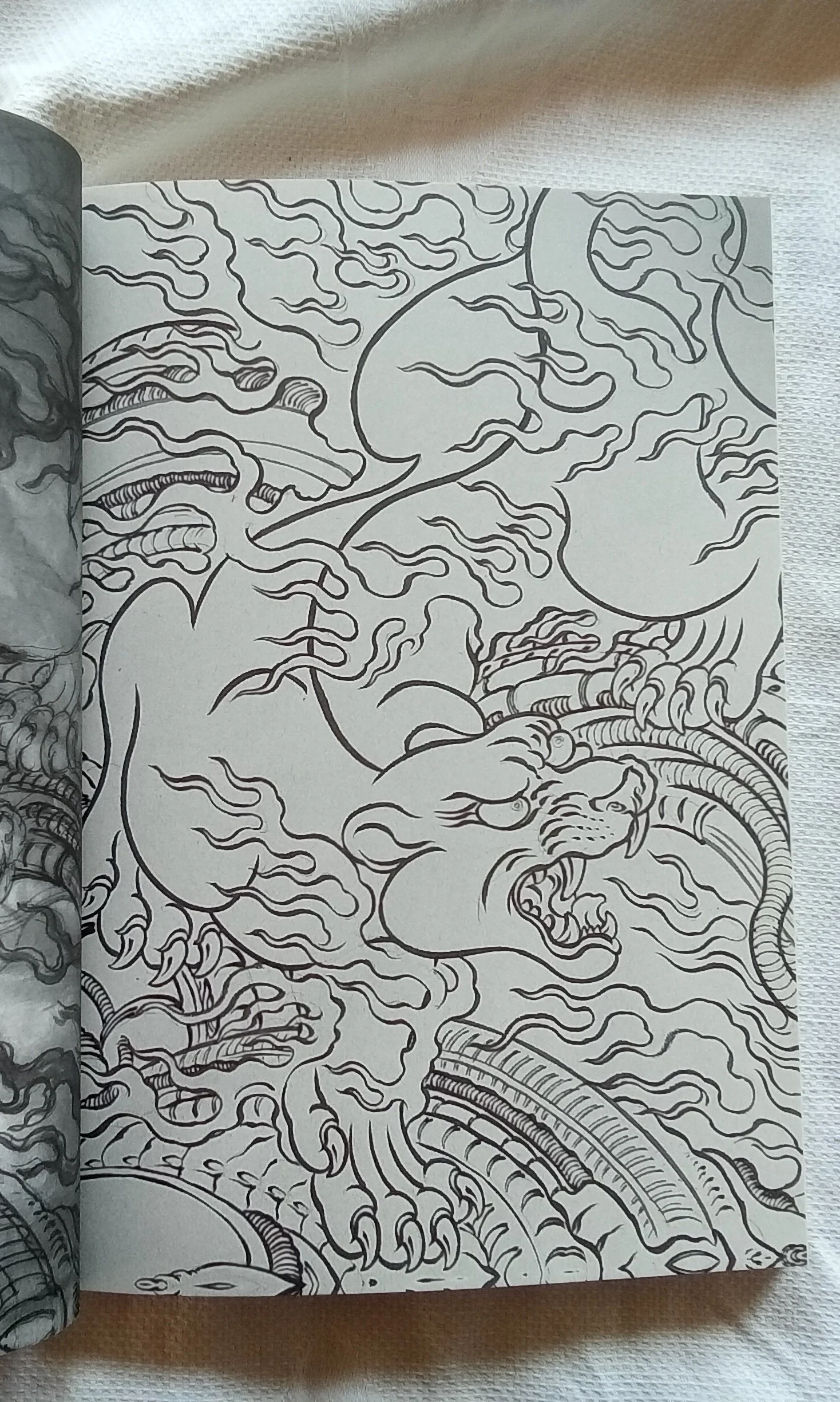 1000103219.jpg