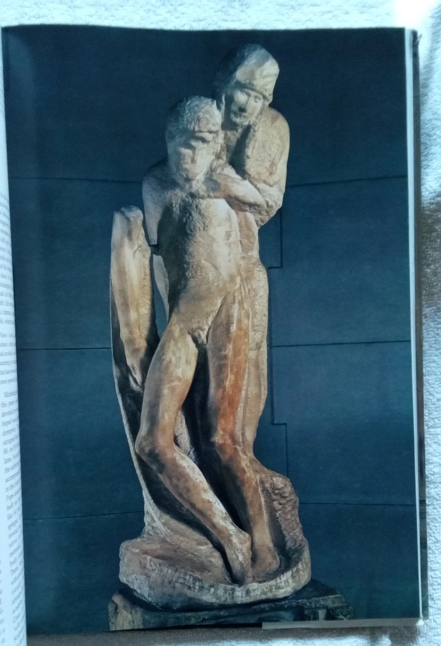 1000093731.jpg