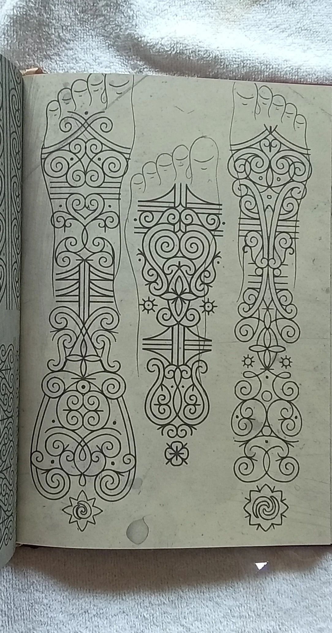 1000121246.jpg
