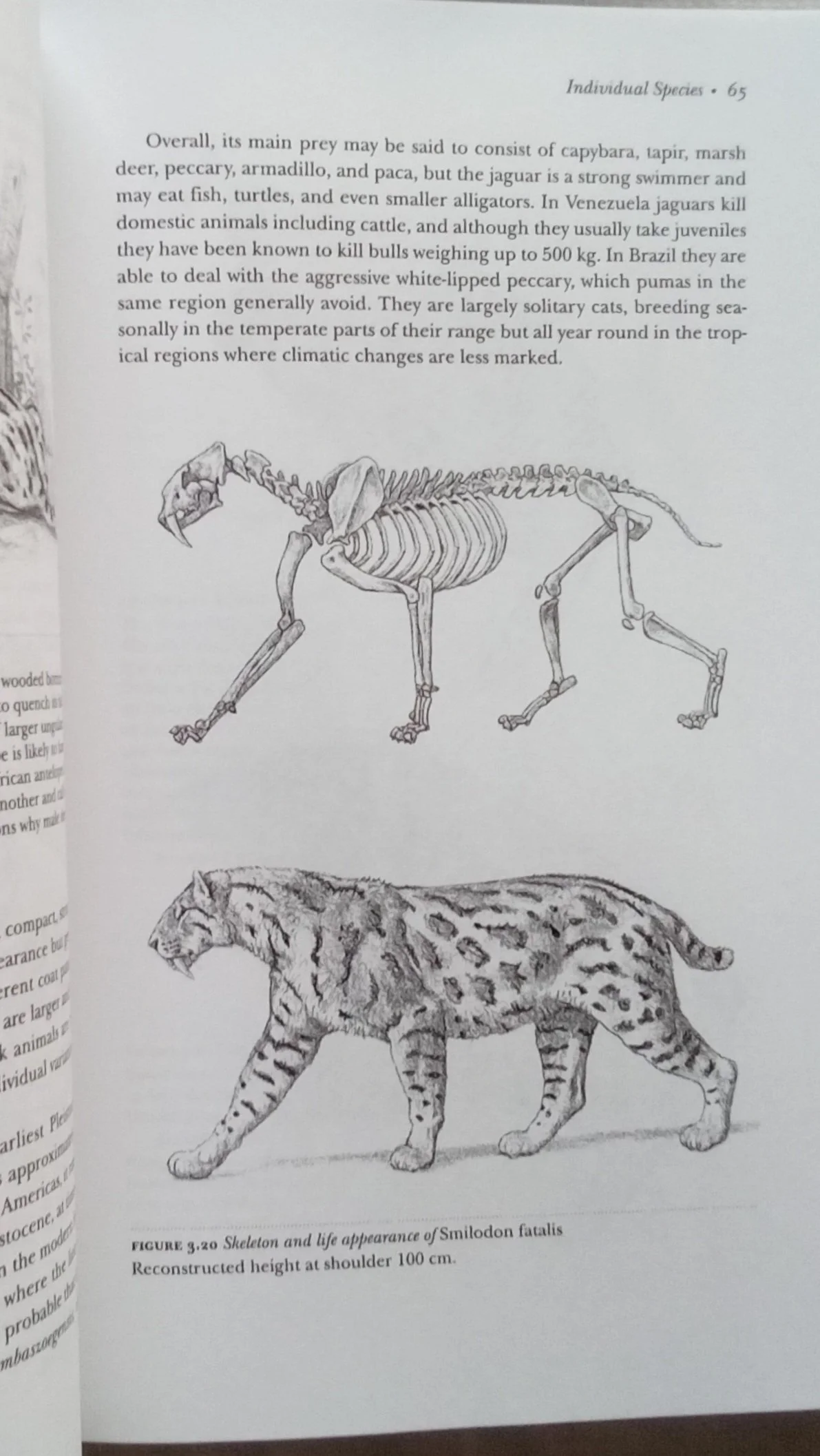 1000104959.jpg