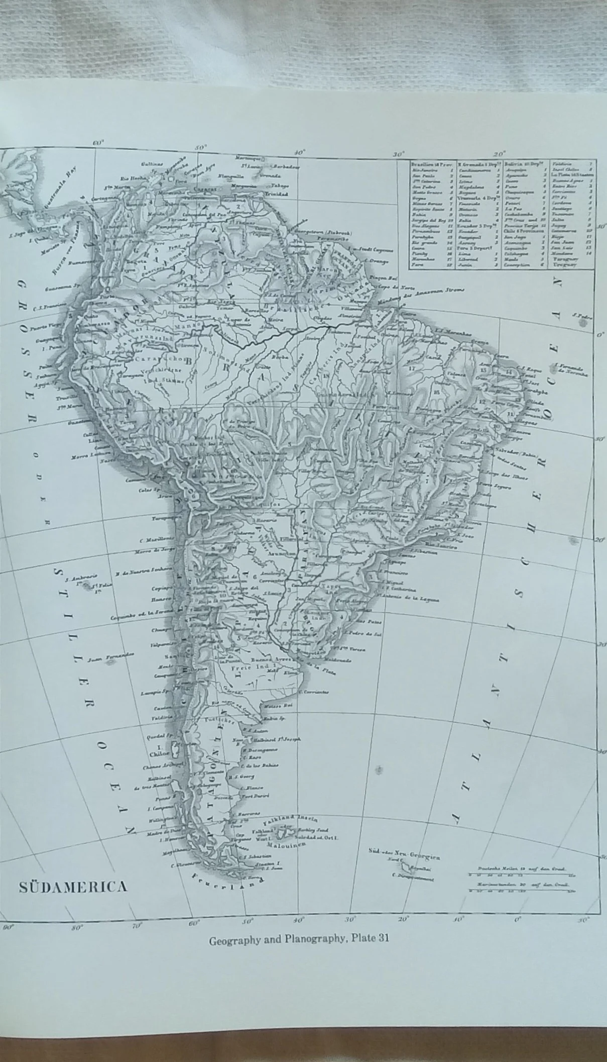 1000103345.jpg