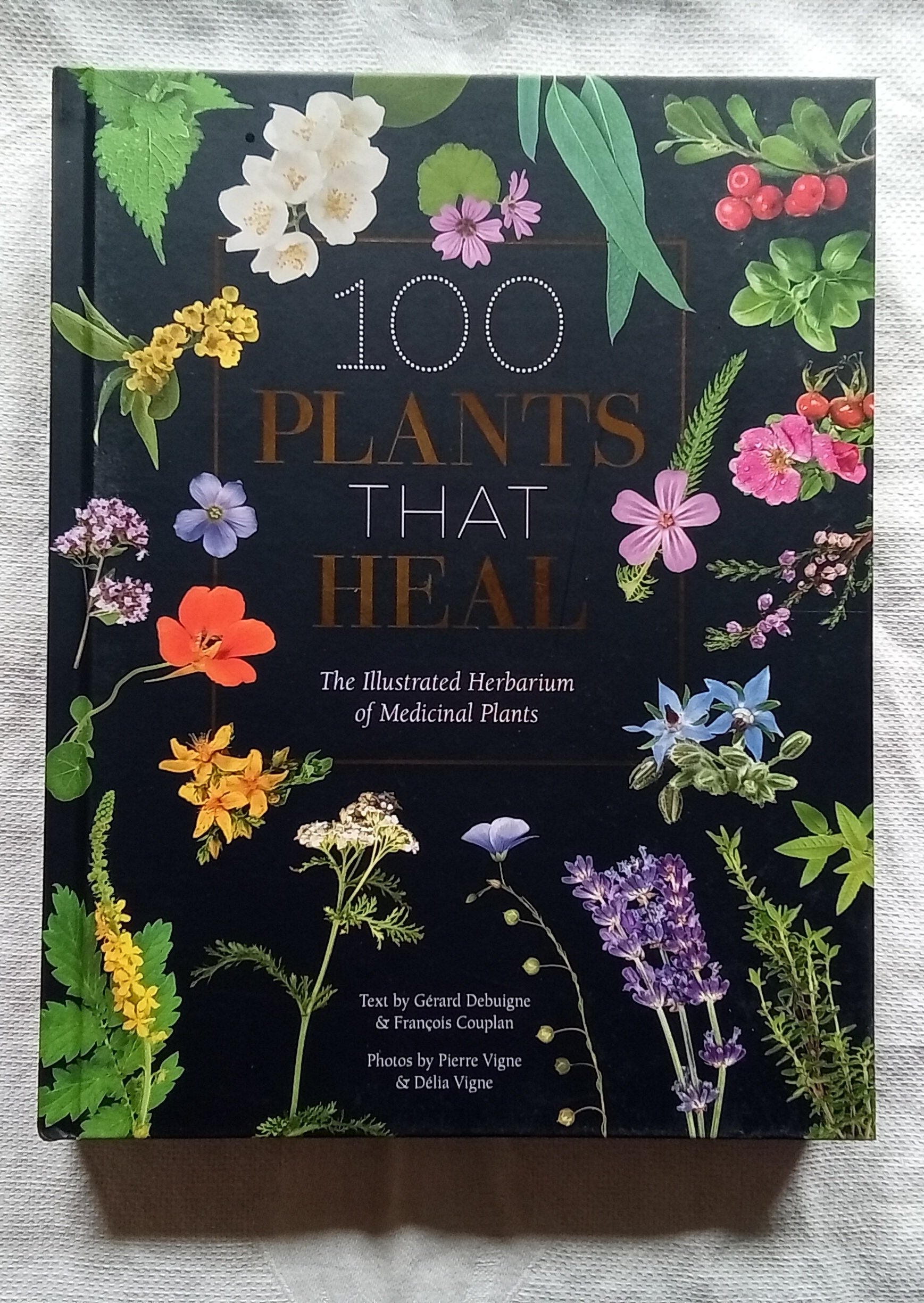 100 Plants That Heal: The illustrated herbarium of medicinal plants T