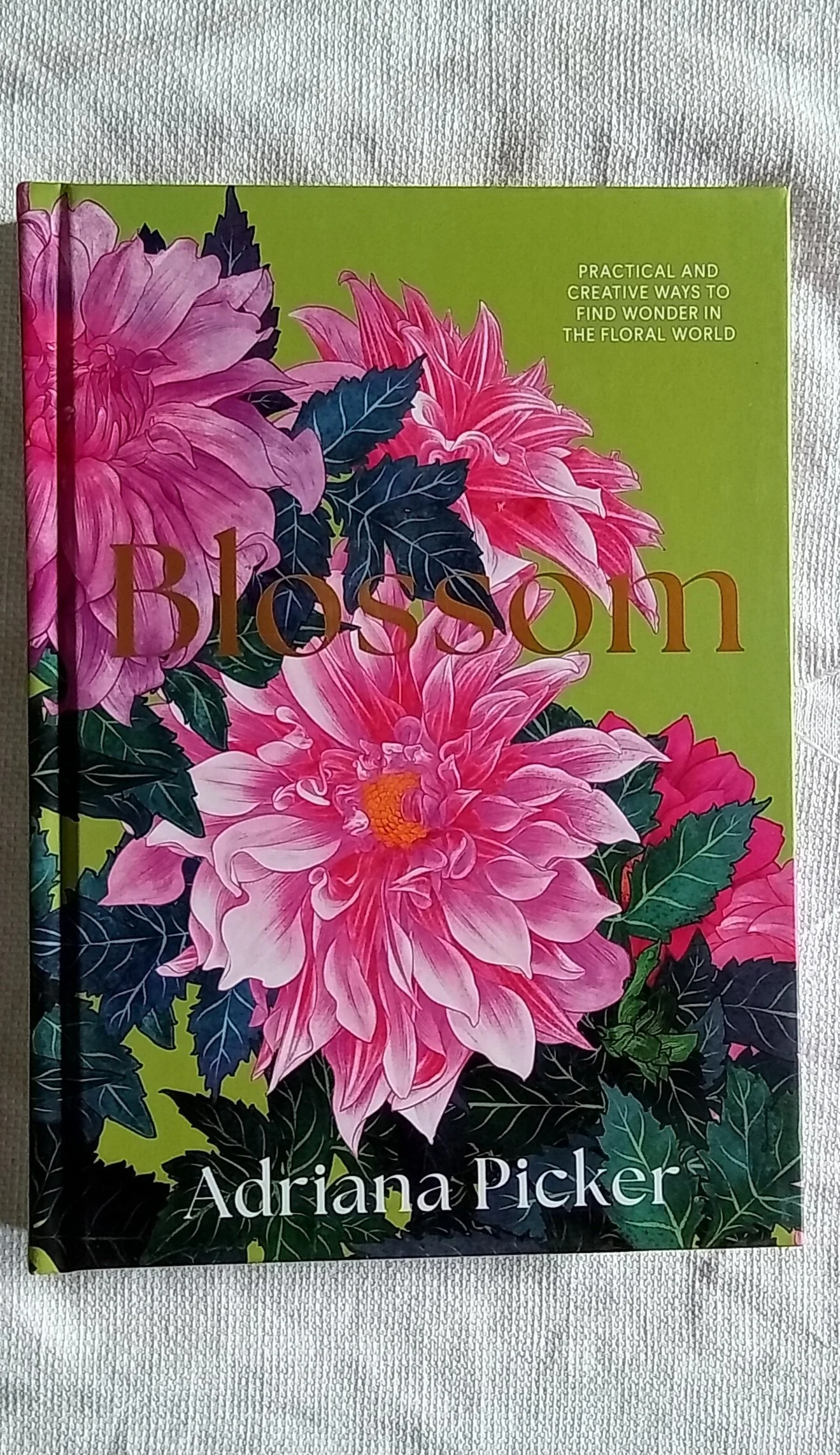 Blossom: Practical and Creative Ways to Find Wonder in the Floral World Hardcover