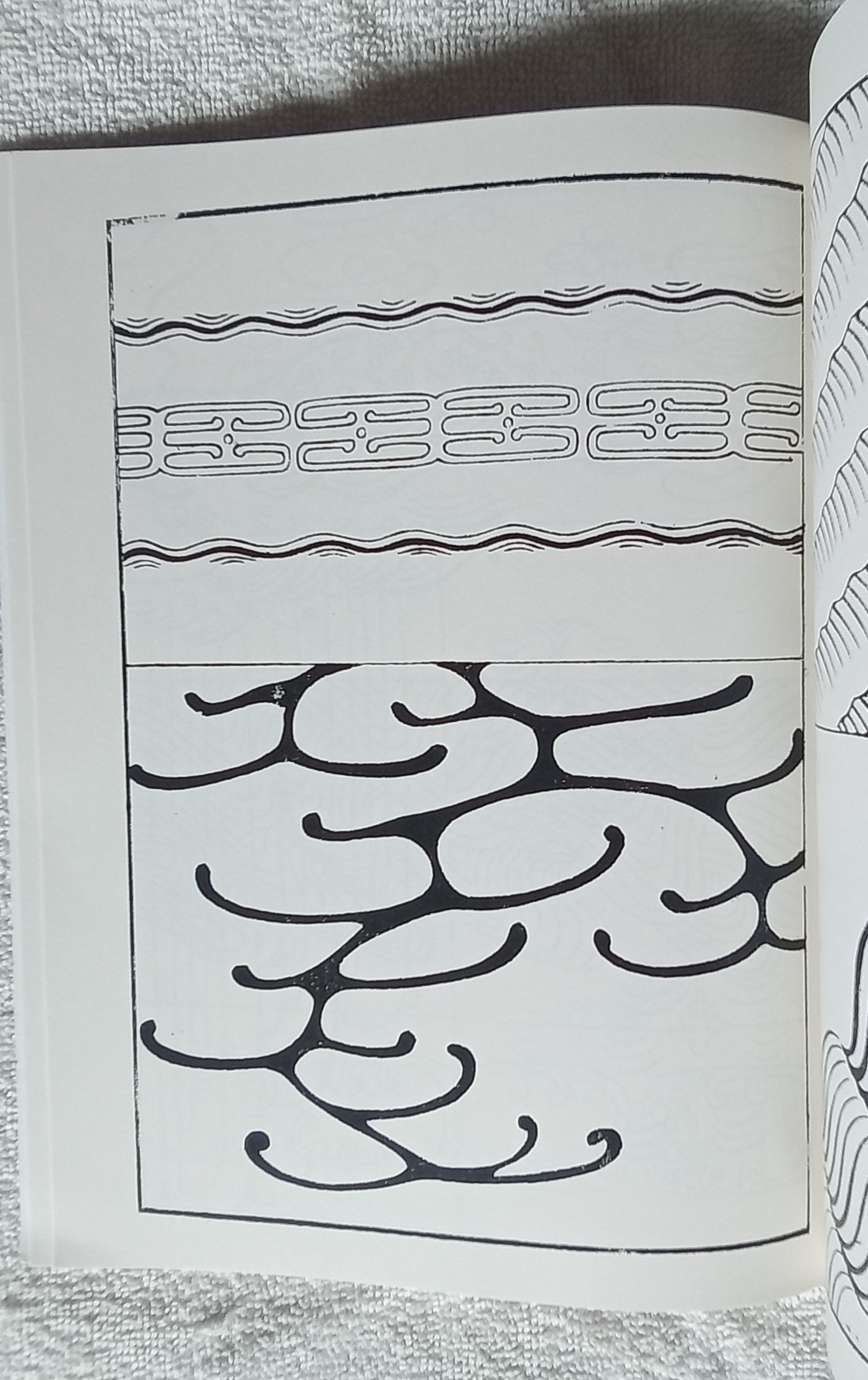1000084330.jpg