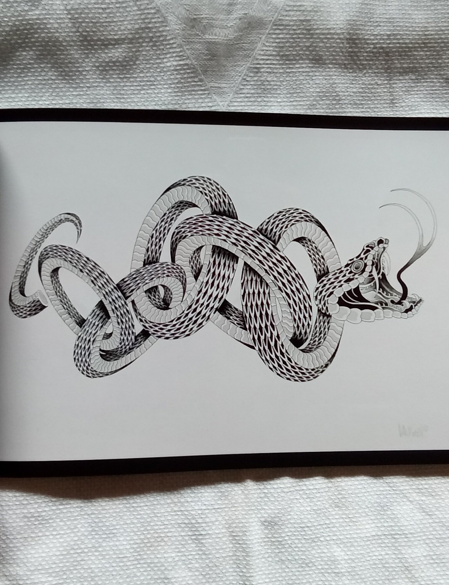 1000102144.jpg