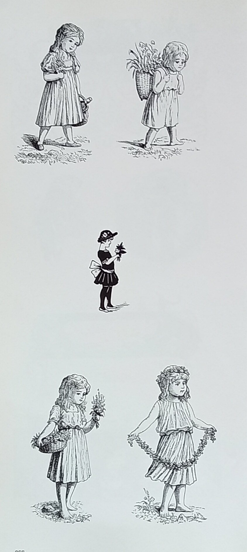 1000063239.jpg