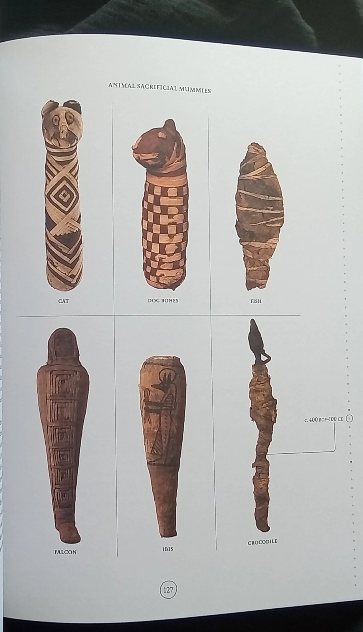 1000128031.jpg