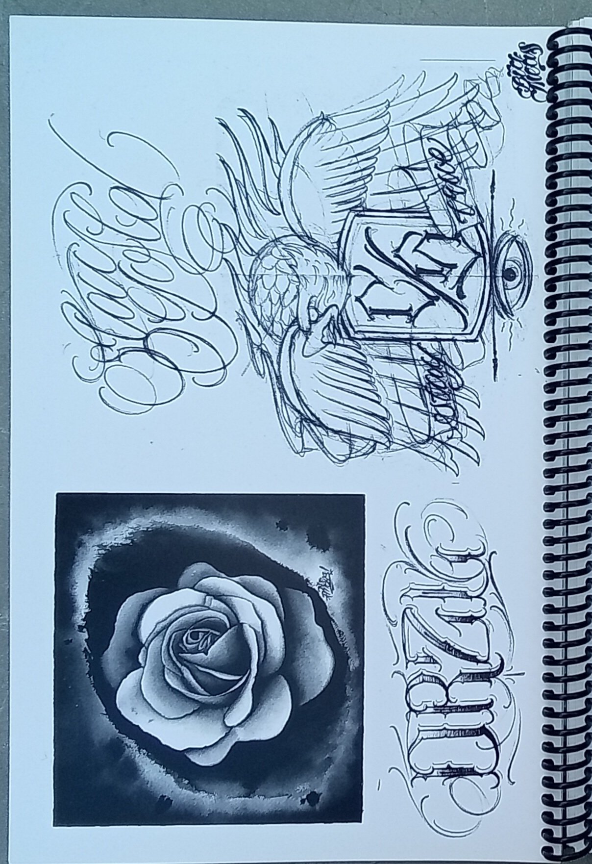 1000065994.jpg