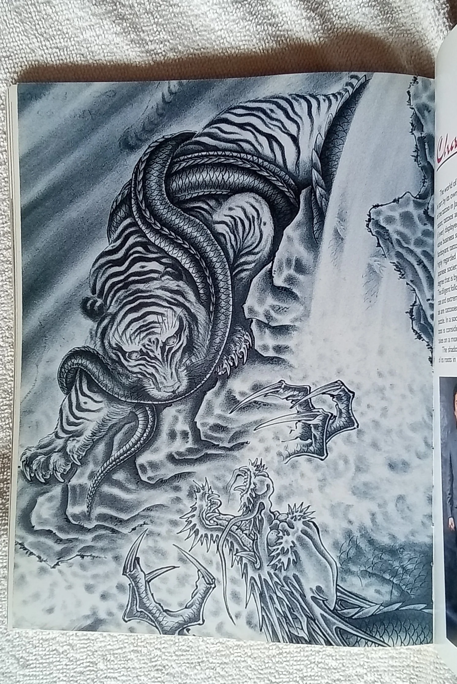 1000097718.jpg