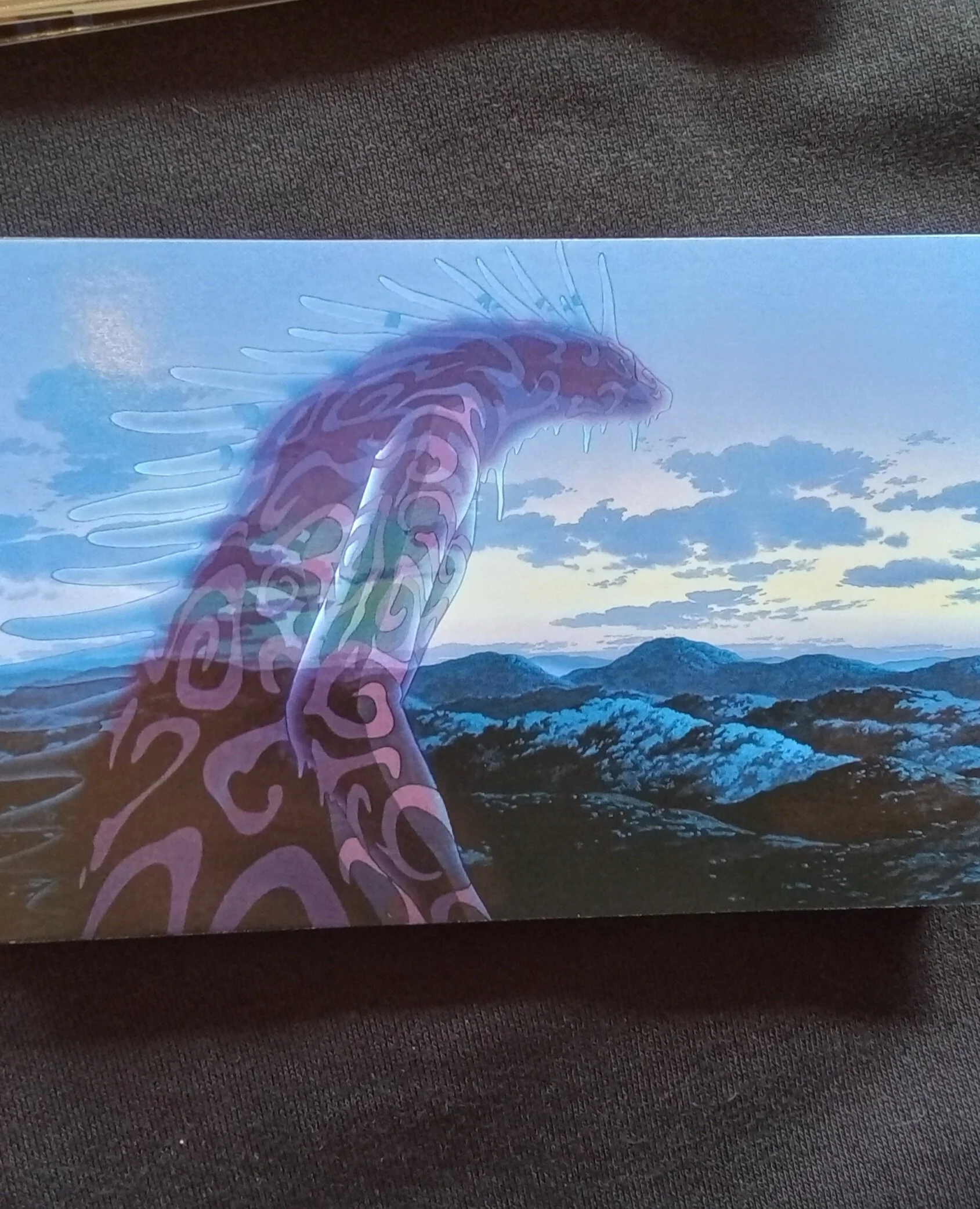 20261025_114830.jpg