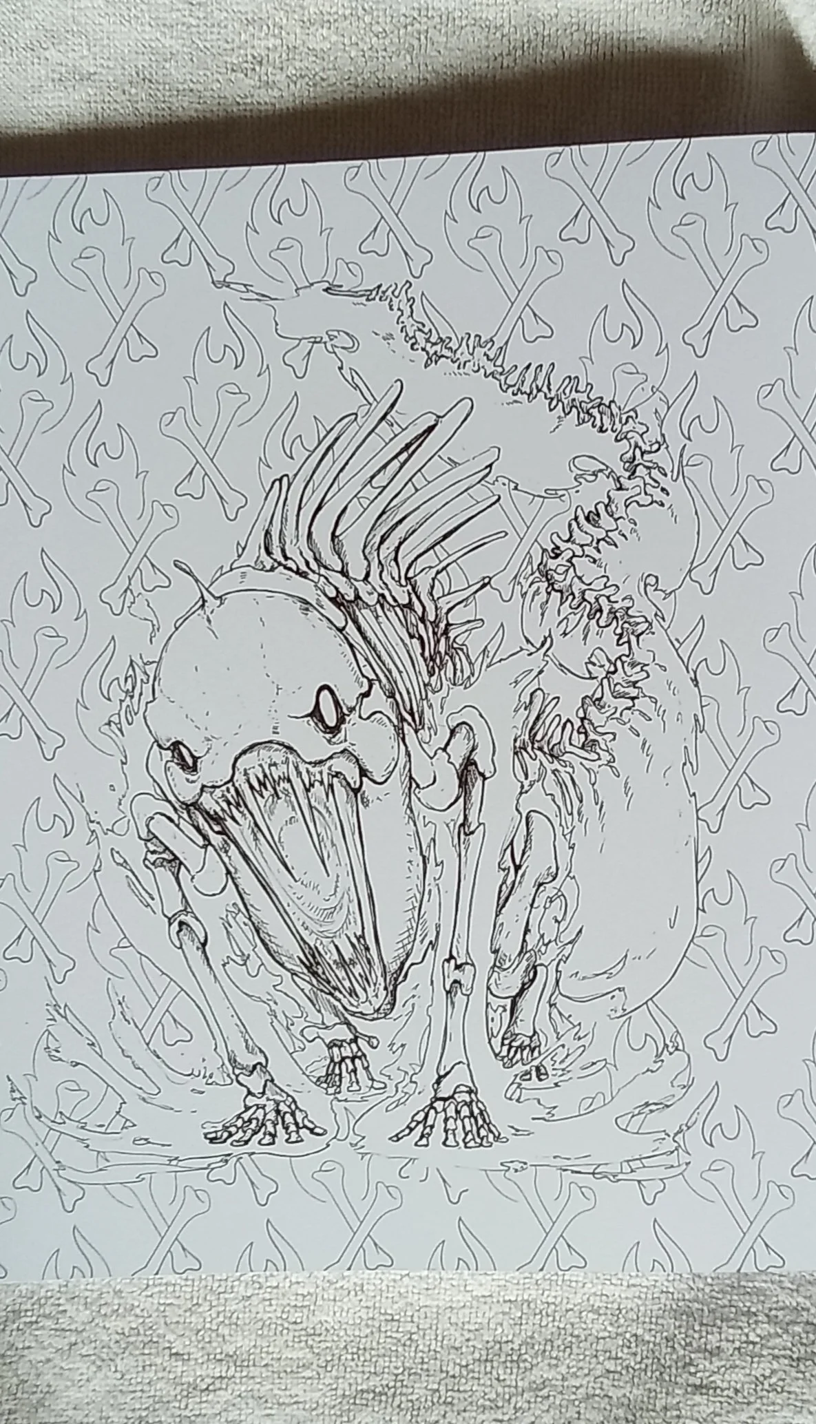 1000120435.jpg