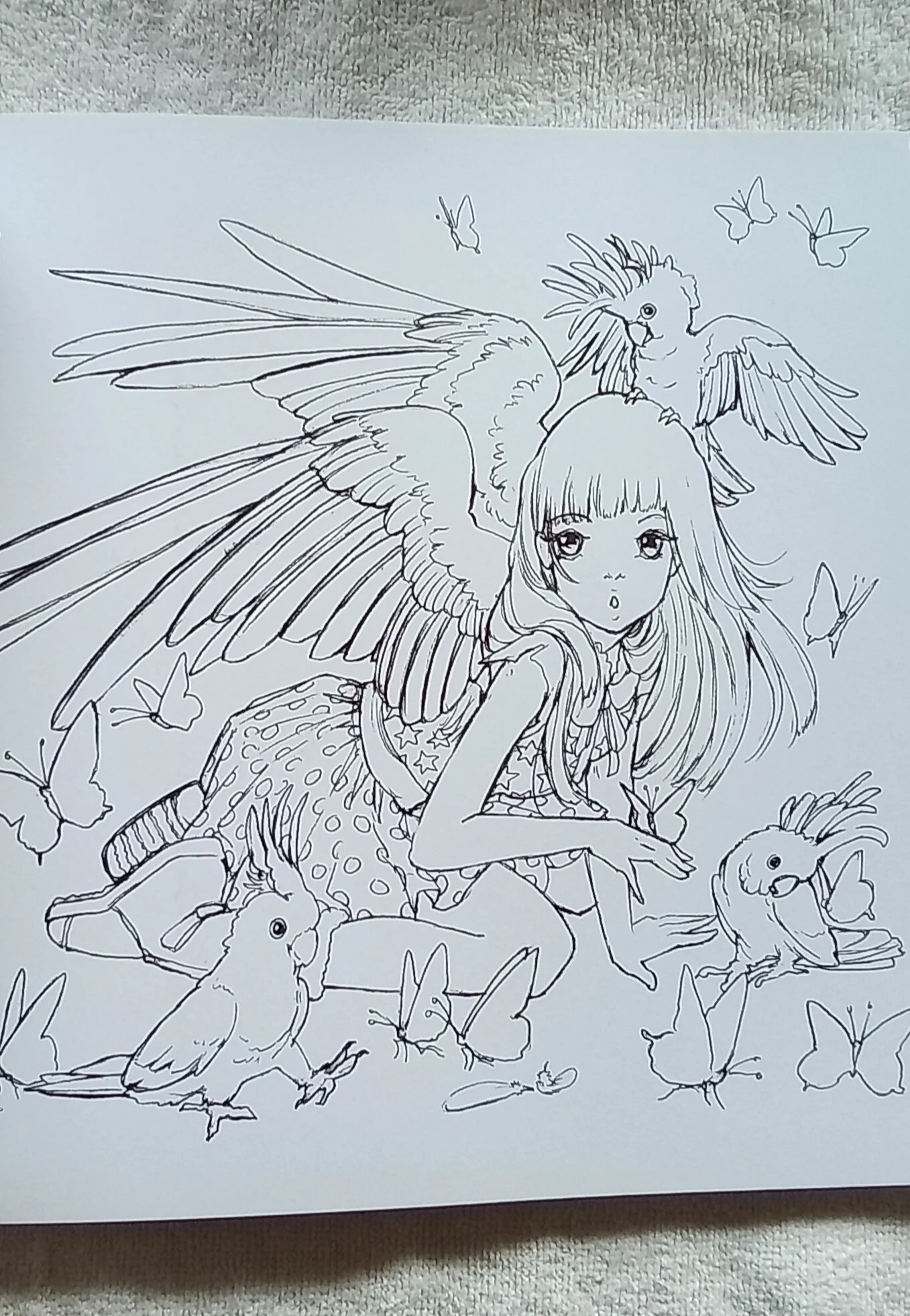 1000120001.jpg