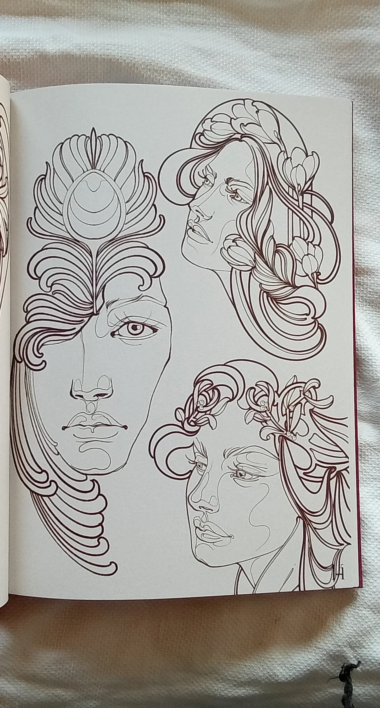 1000105031.jpg