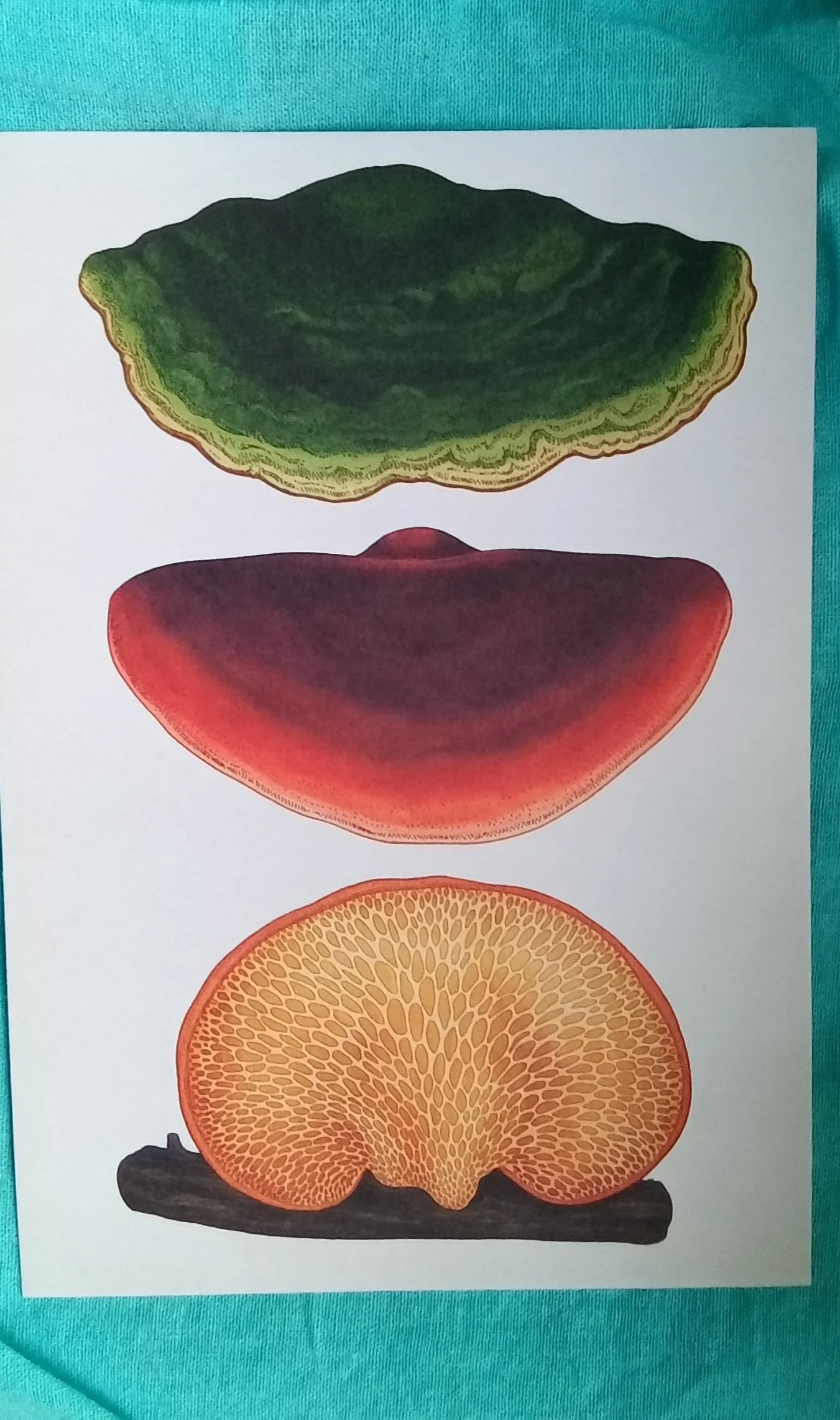1000124860.jpg