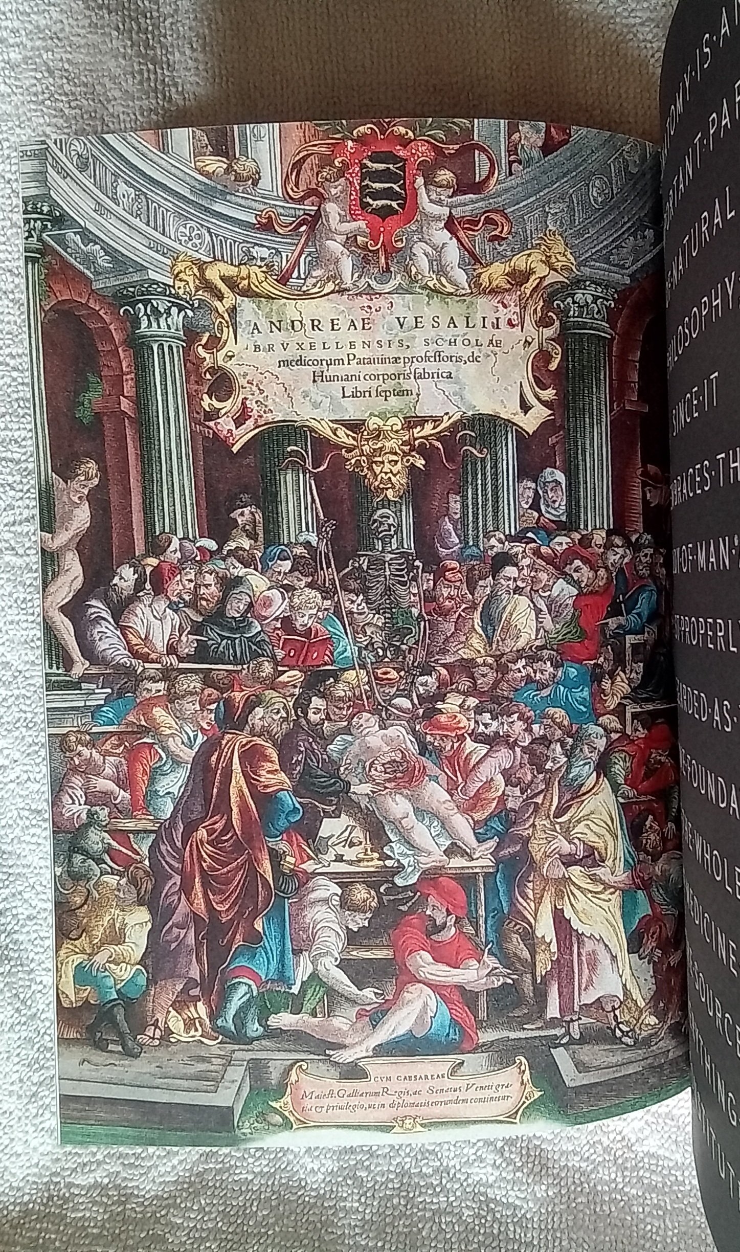 1000085190.jpg