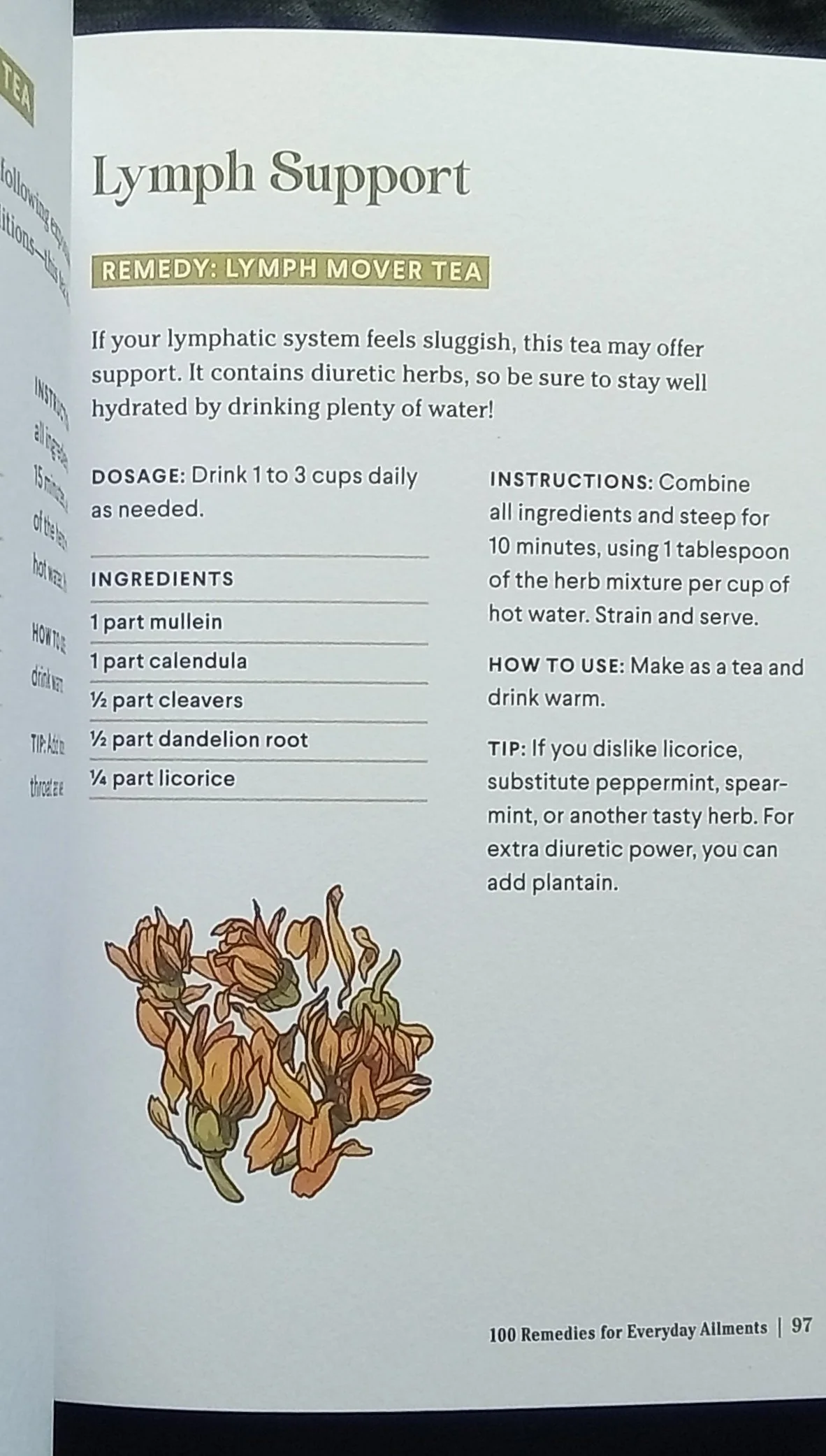 1000126707.jpg