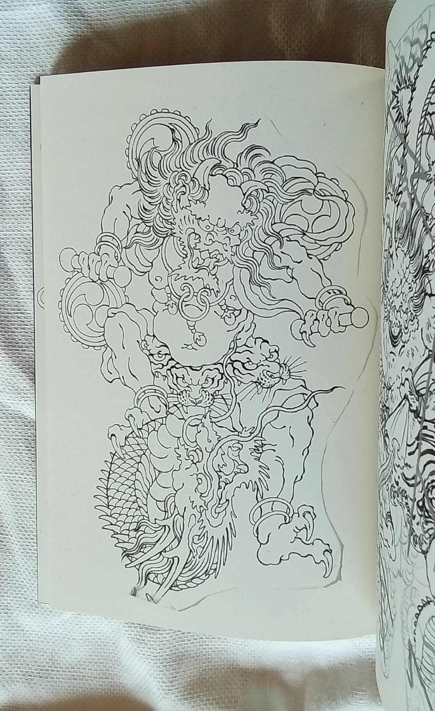 1000103244.jpg