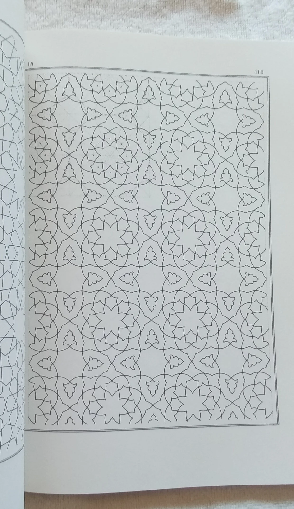 1000124708.jpg