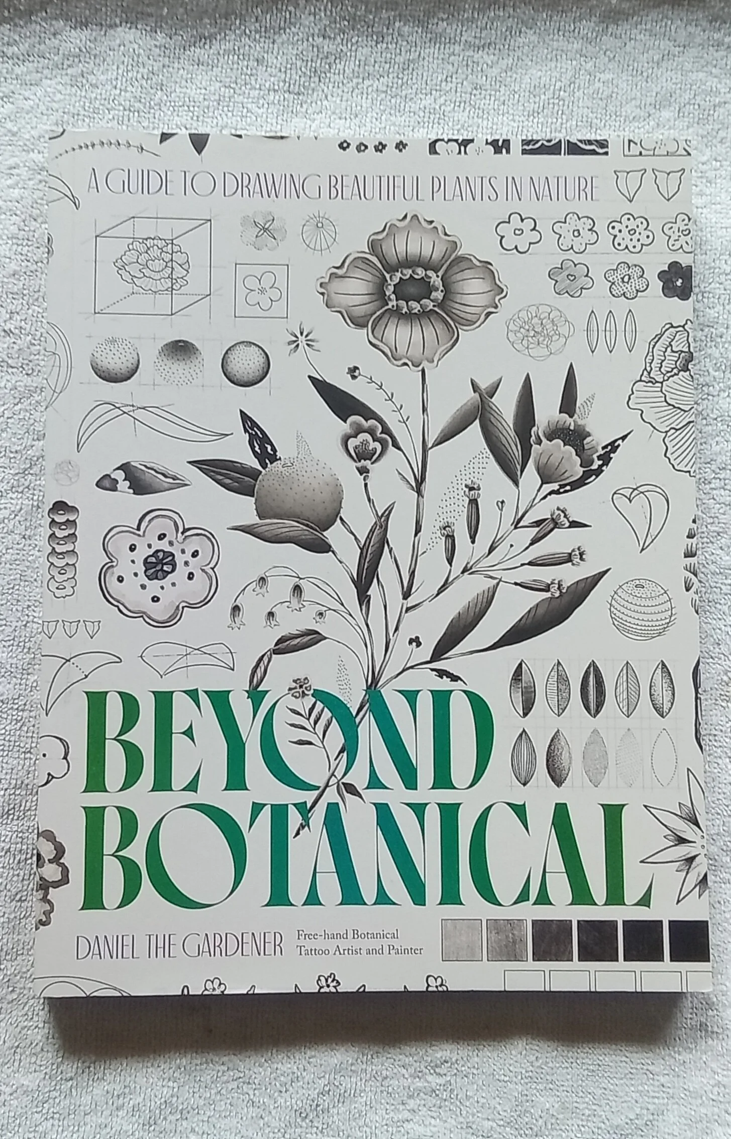 Beyond Botanical: A Guide to Drawing Plants in Nature