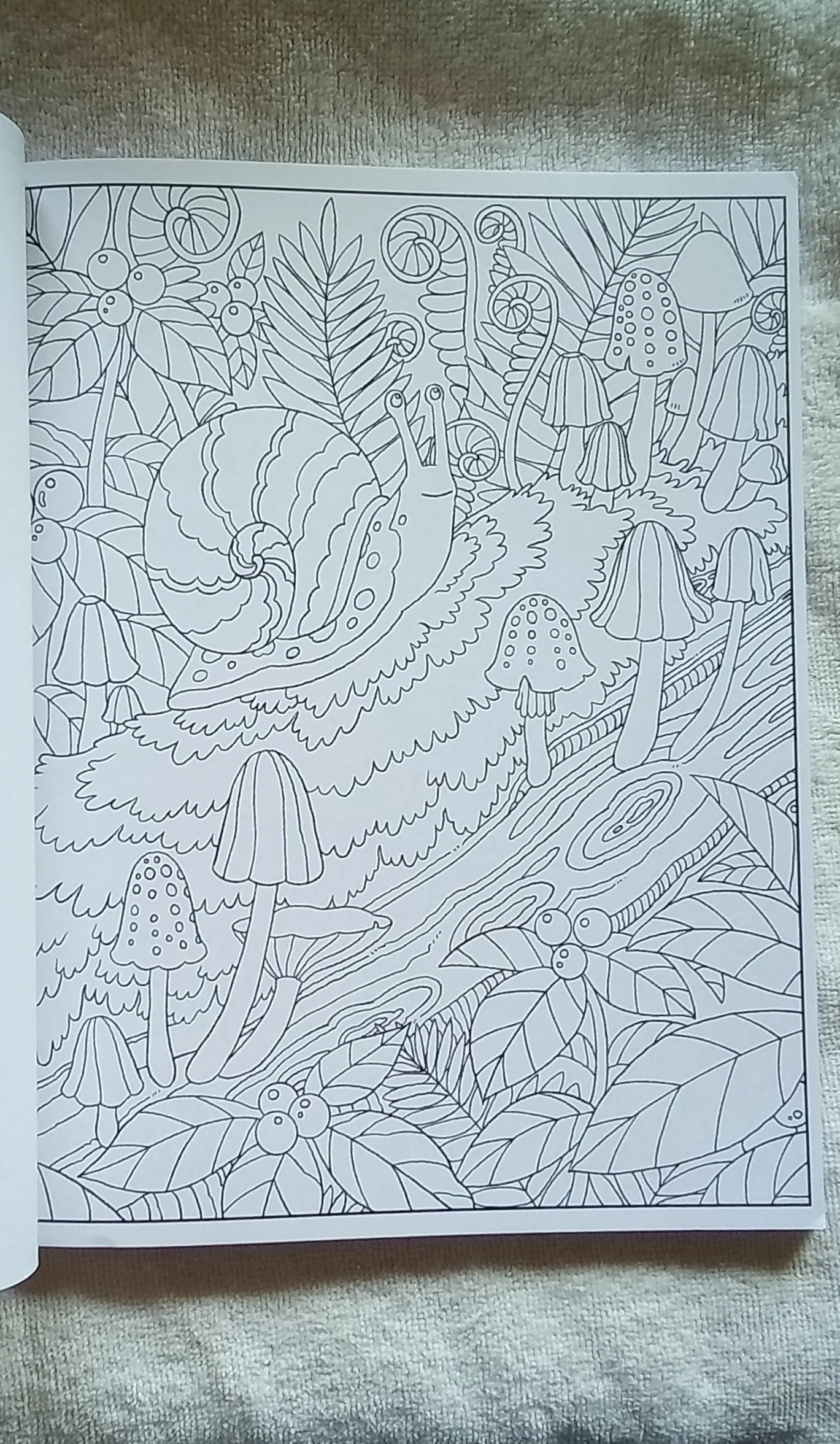 20260806_150352.jpg