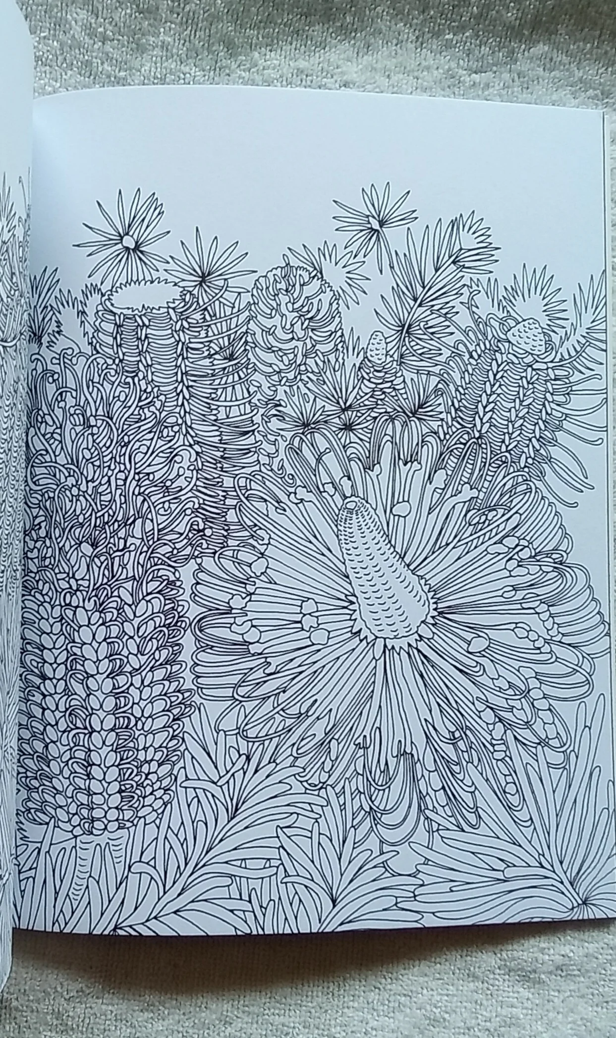 1000119952.jpg