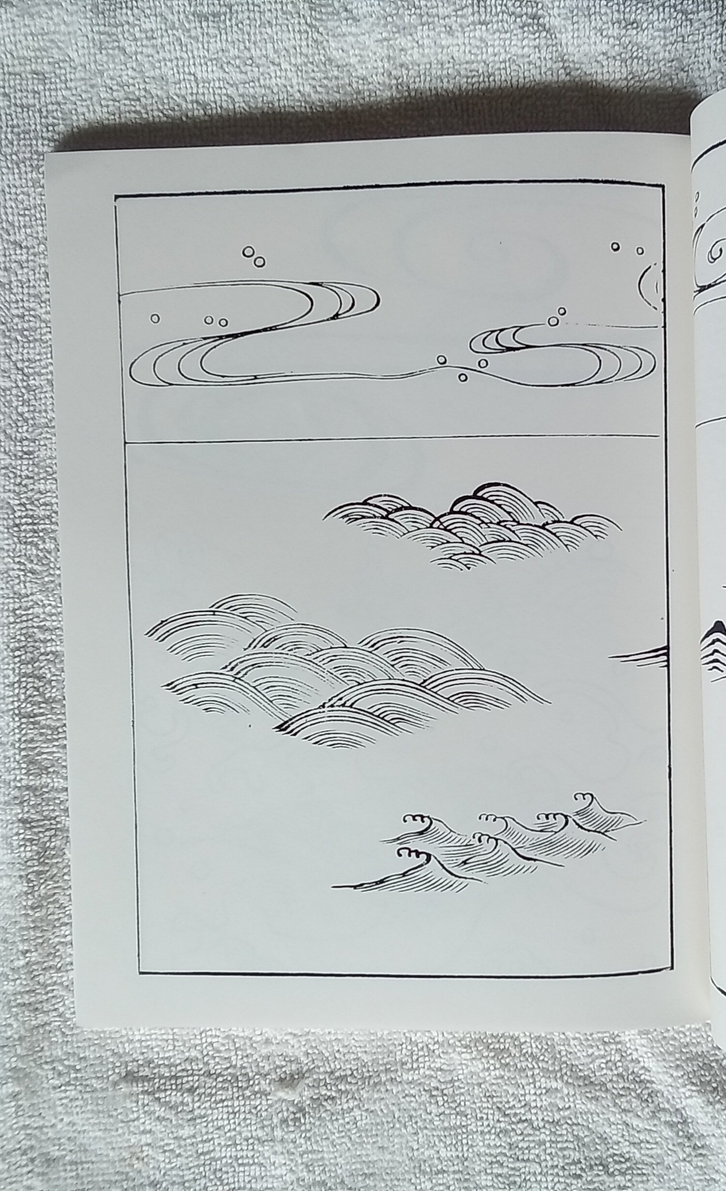 1000084340.jpg