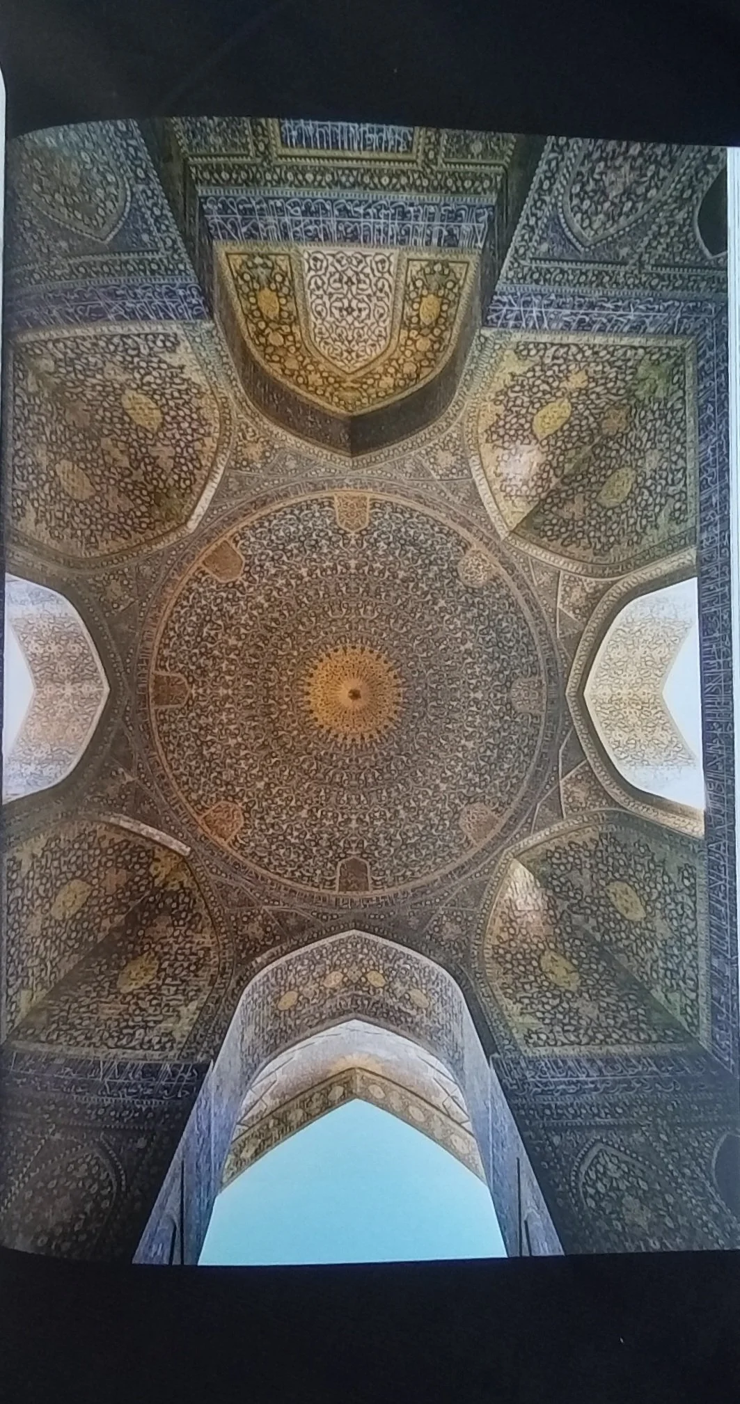 1000126124.jpg