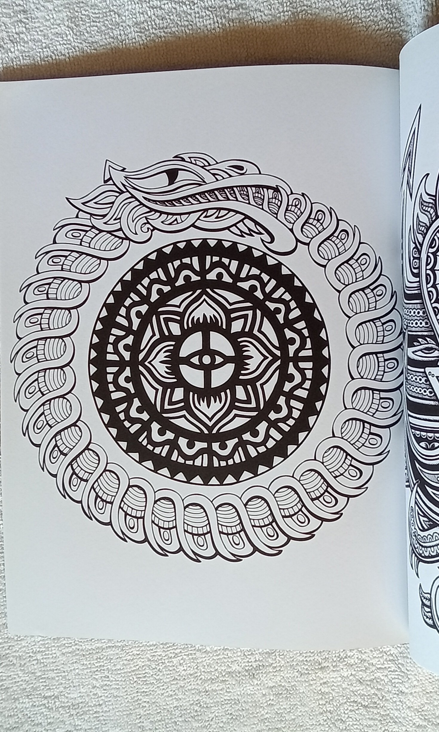 1000081843.jpg