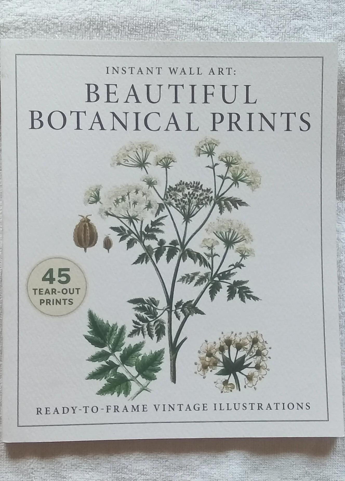 Instant Wall Art: Beautiful Botanical Prints: Ready-to-Frame Vintage Illustrations